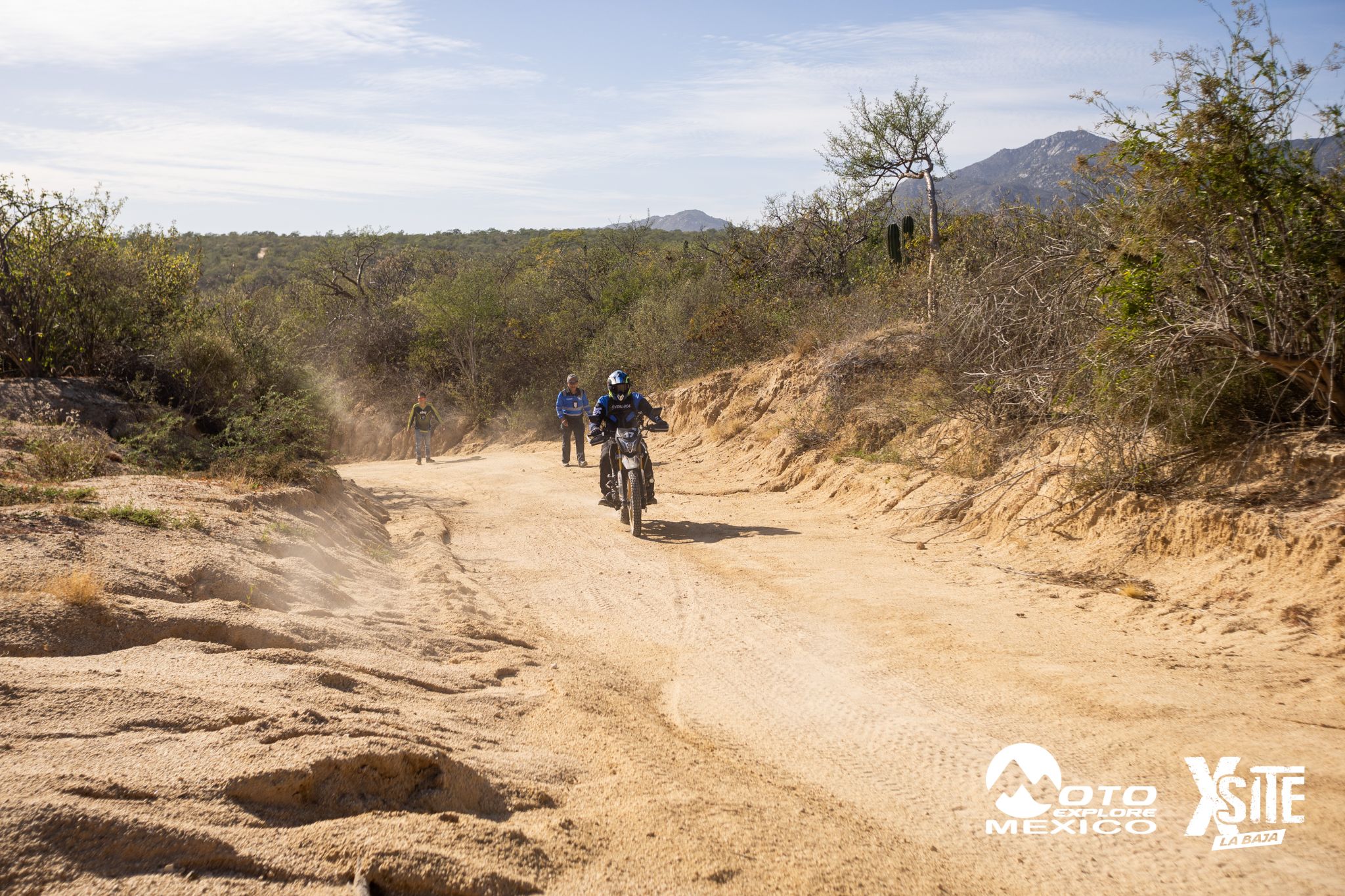 ITALIKA LA NAJA D1 411