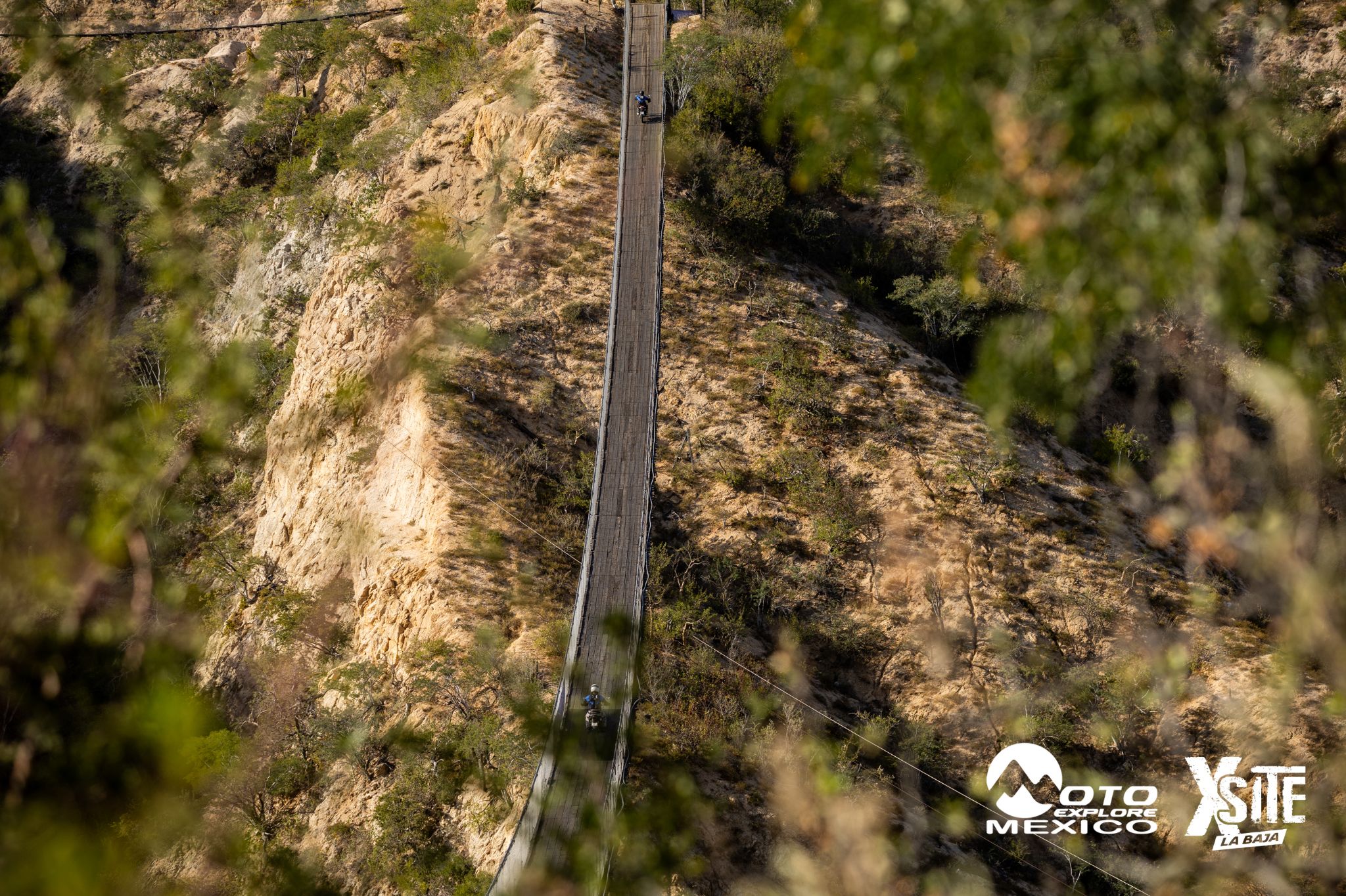 ITALIKA LA NAJA D1 438