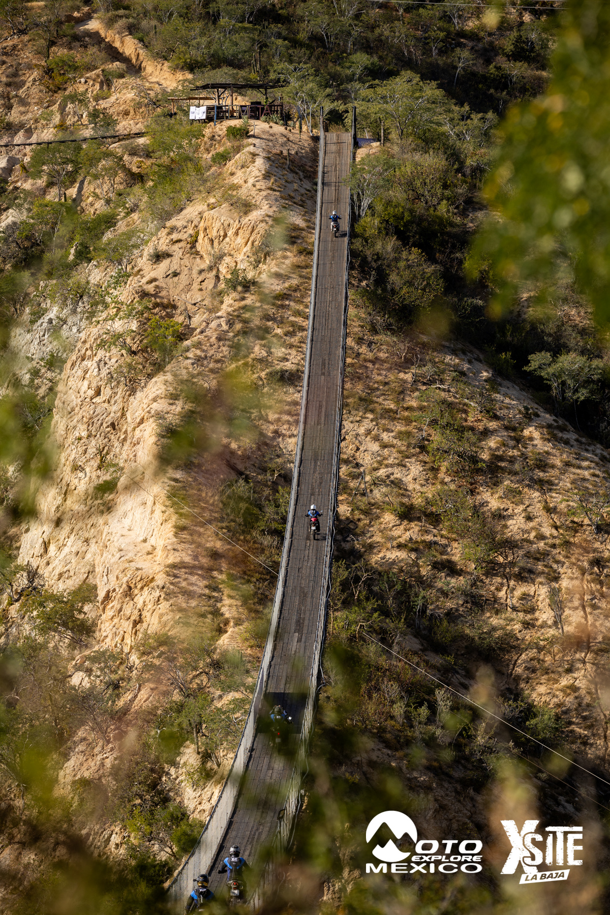 ITALIKA LA NAJA D1 442