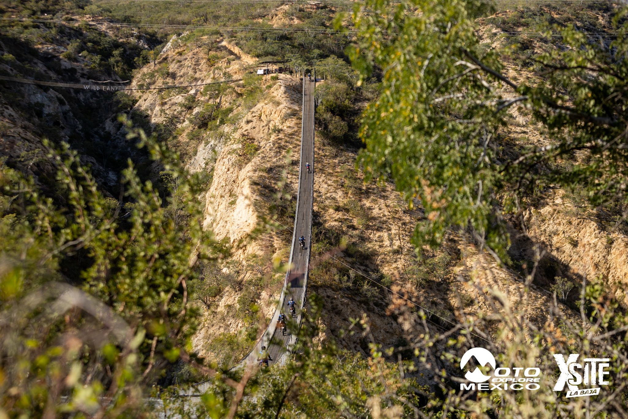 ITALIKA LA NAJA D1 443