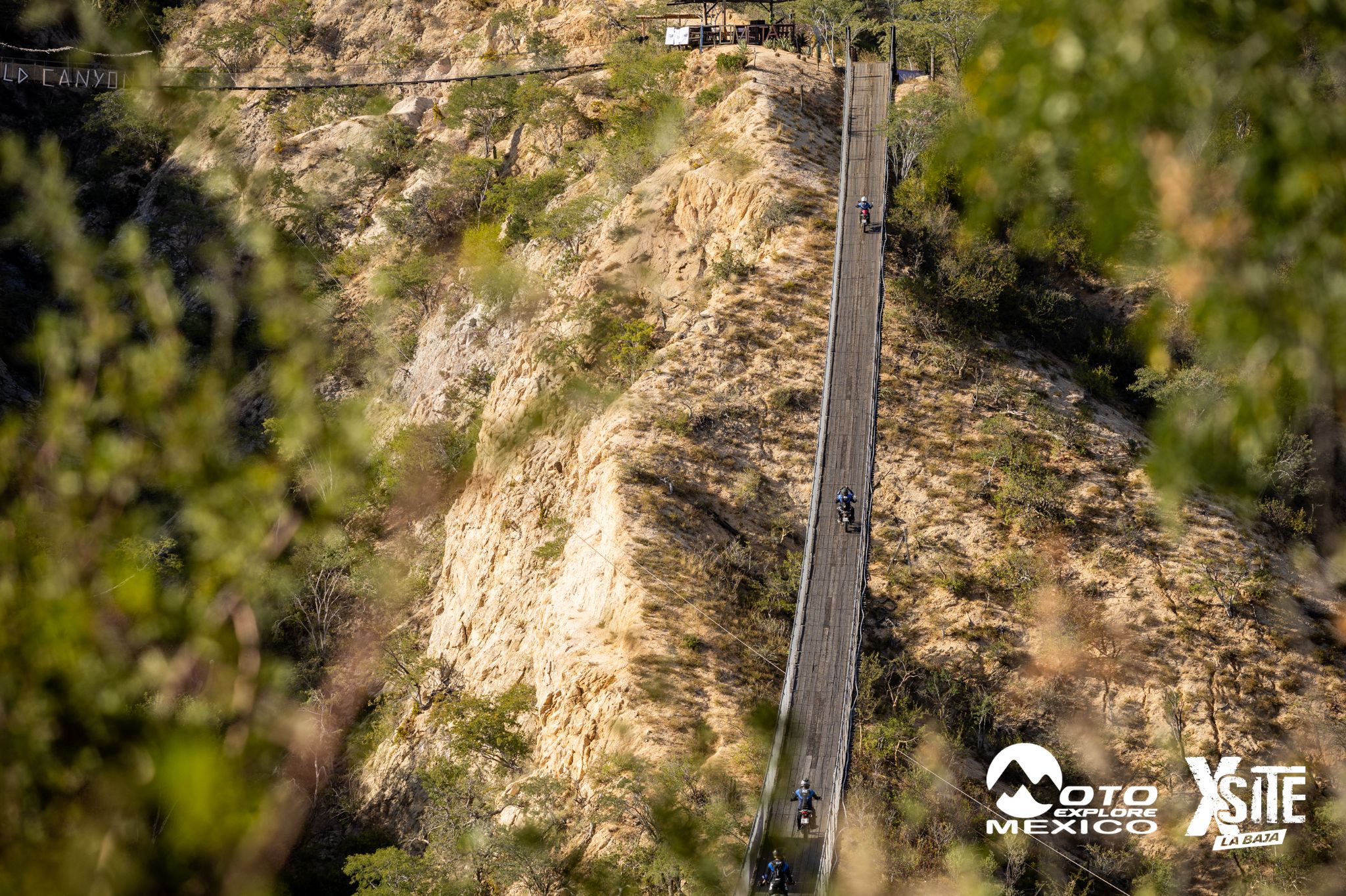 ITALIKA LA NAJA D1 444