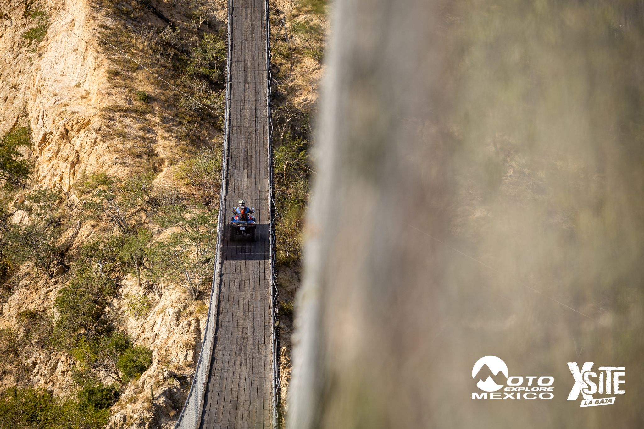 ITALIKA LA NAJA D1 446