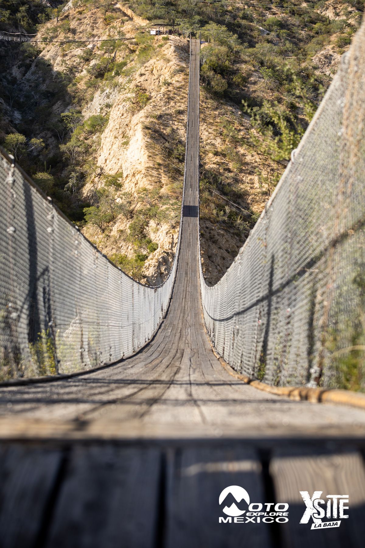 ITALIKA LA NAJA D1 448