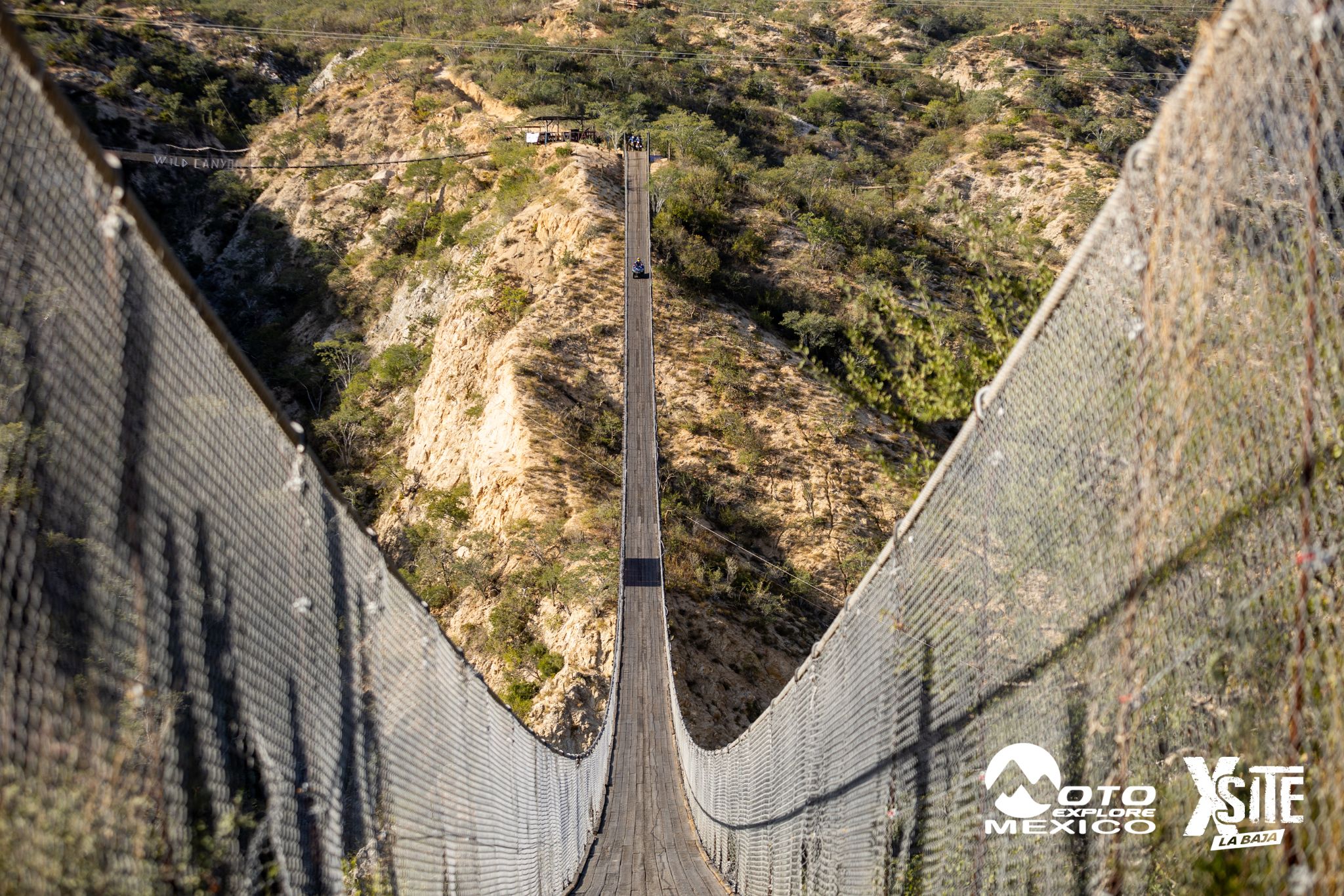 ITALIKA LA NAJA D1 449