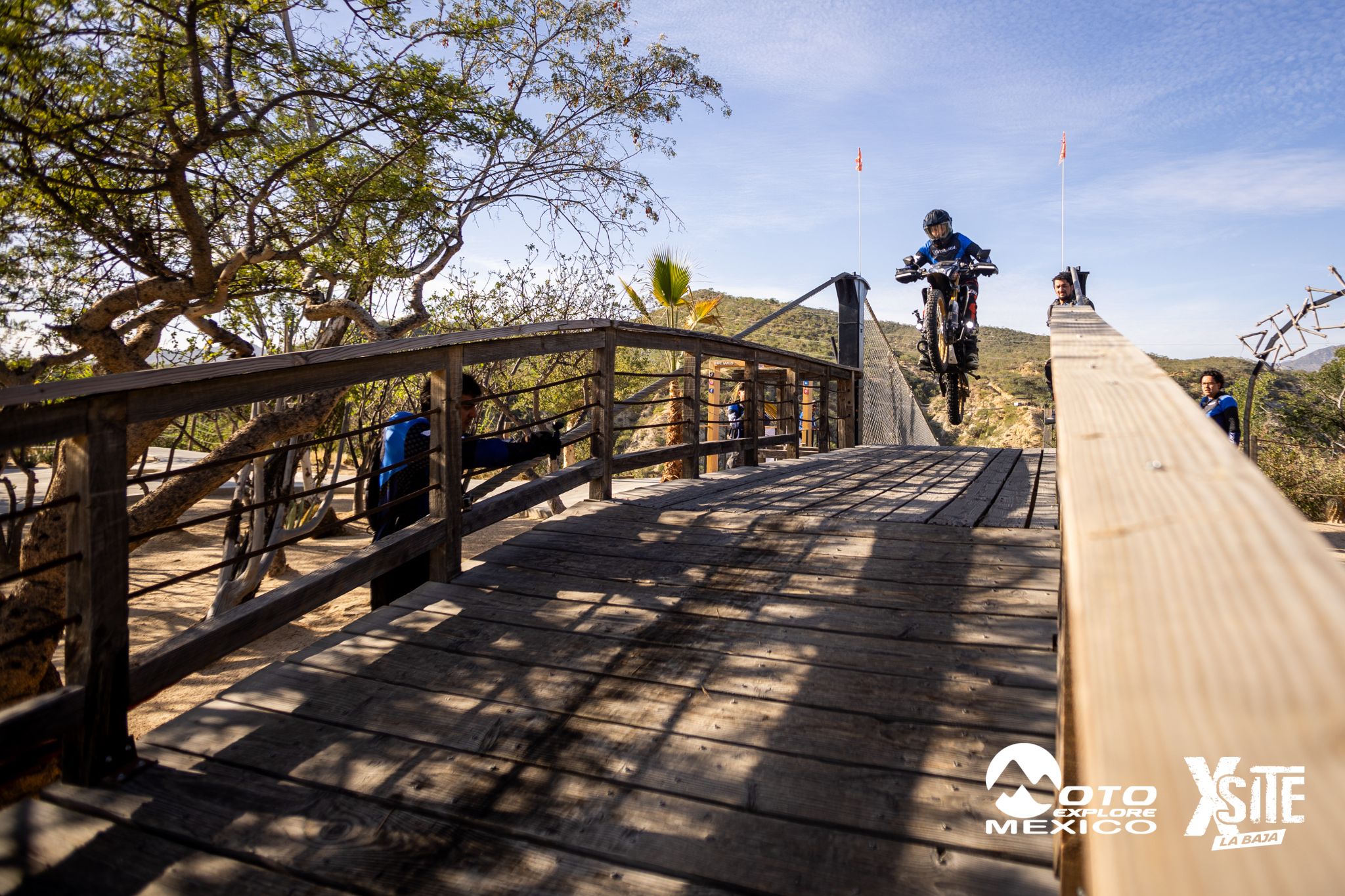 ITALIKA LA NAJA D1 470