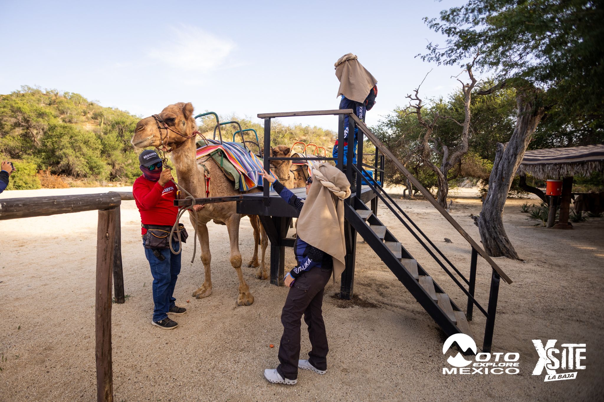 ITALIKA LA NAJA D1 511