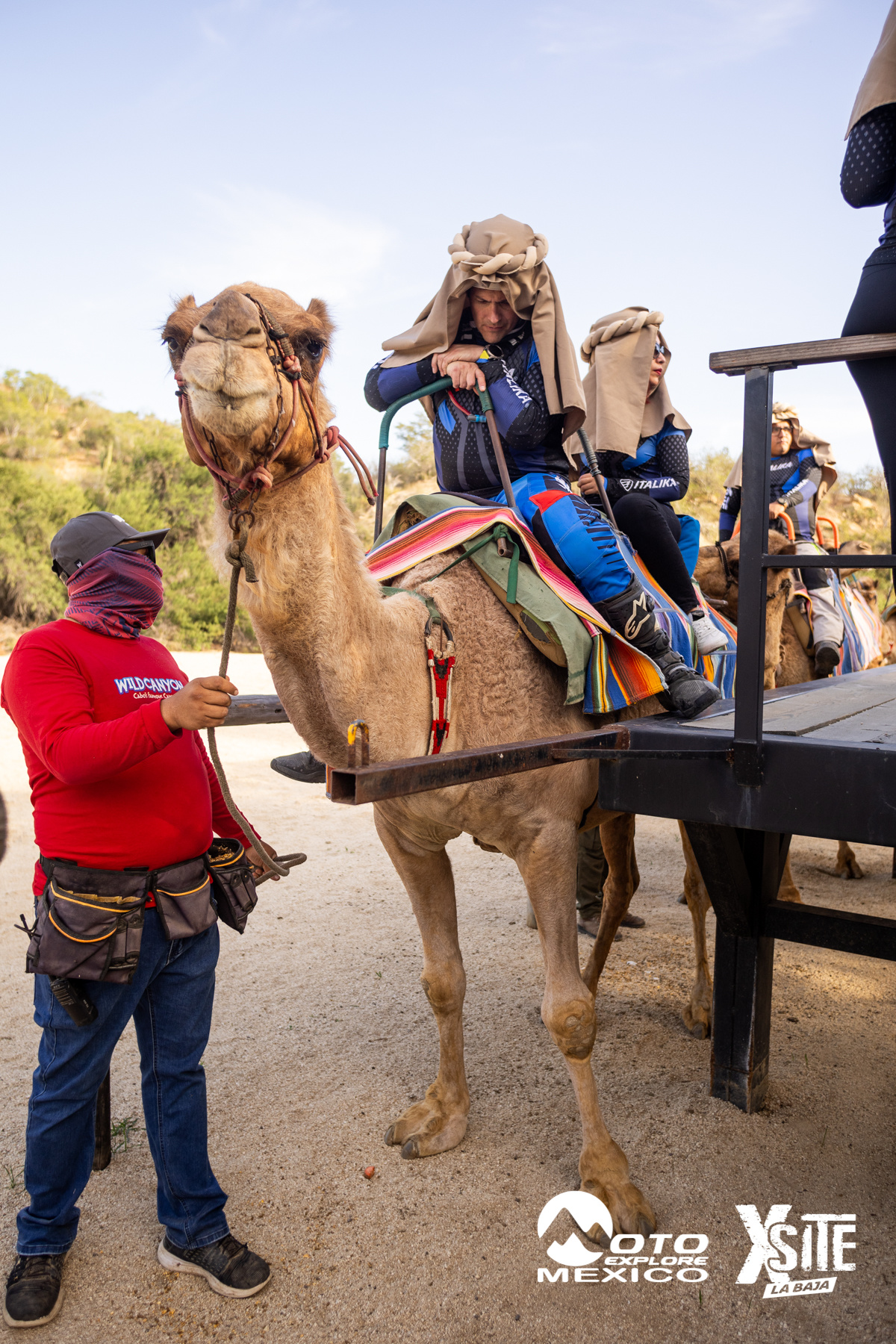 ITALIKA LA NAJA D1 523