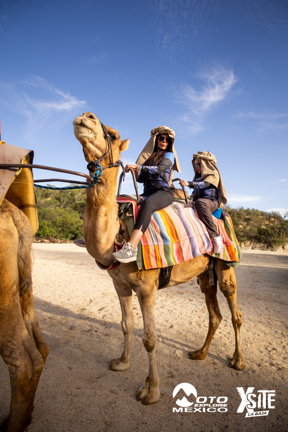 ITALIKA LA NAJA D1 527