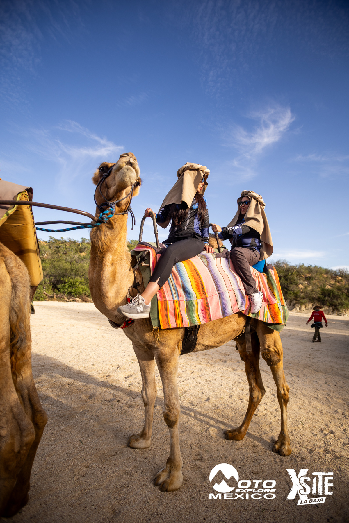 ITALIKA LA NAJA D1 528