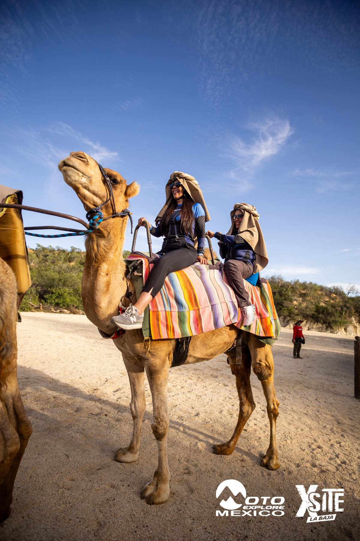 ITALIKA LA NAJA D1 529