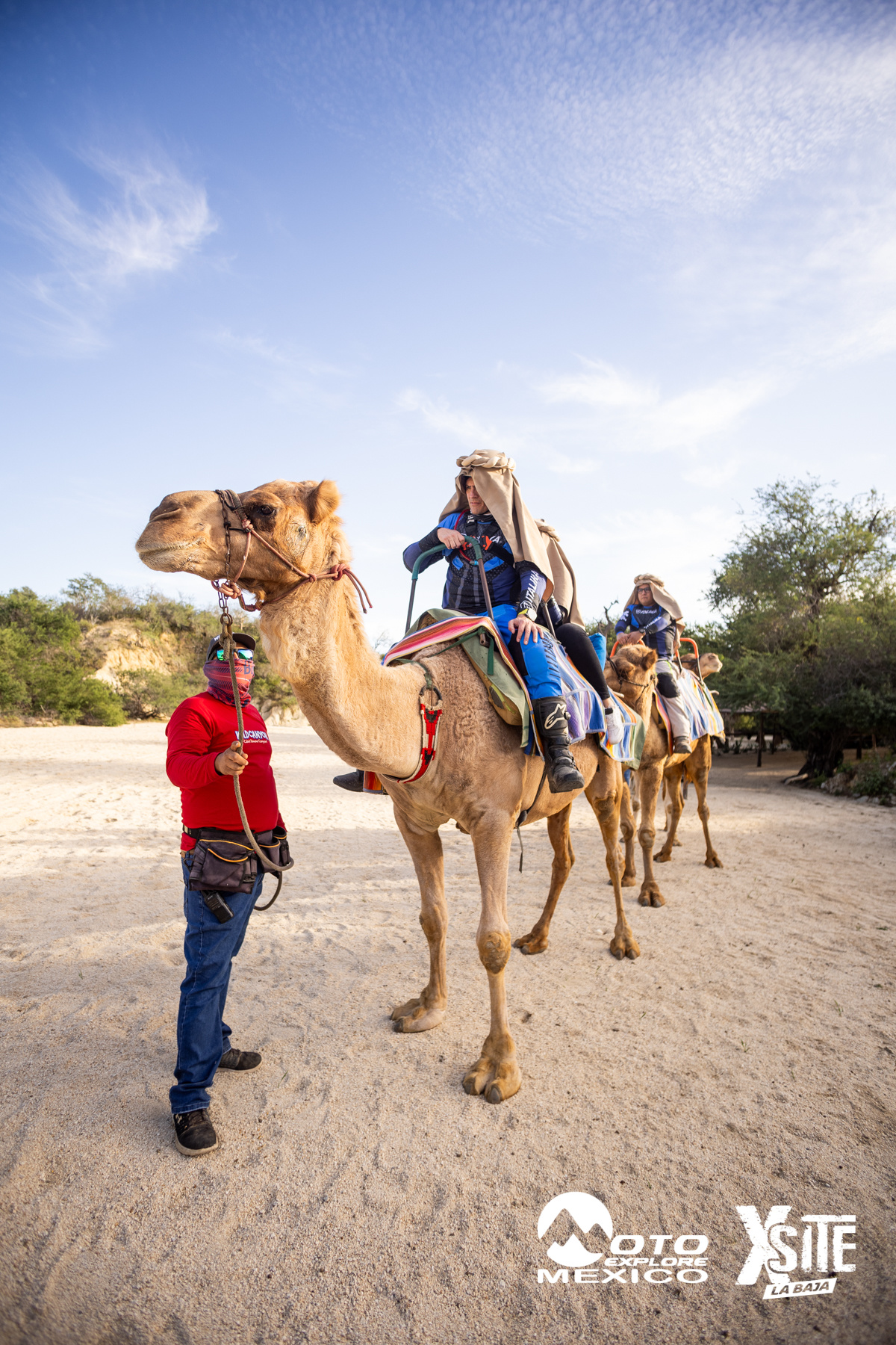 ITALIKA LA NAJA D1 531