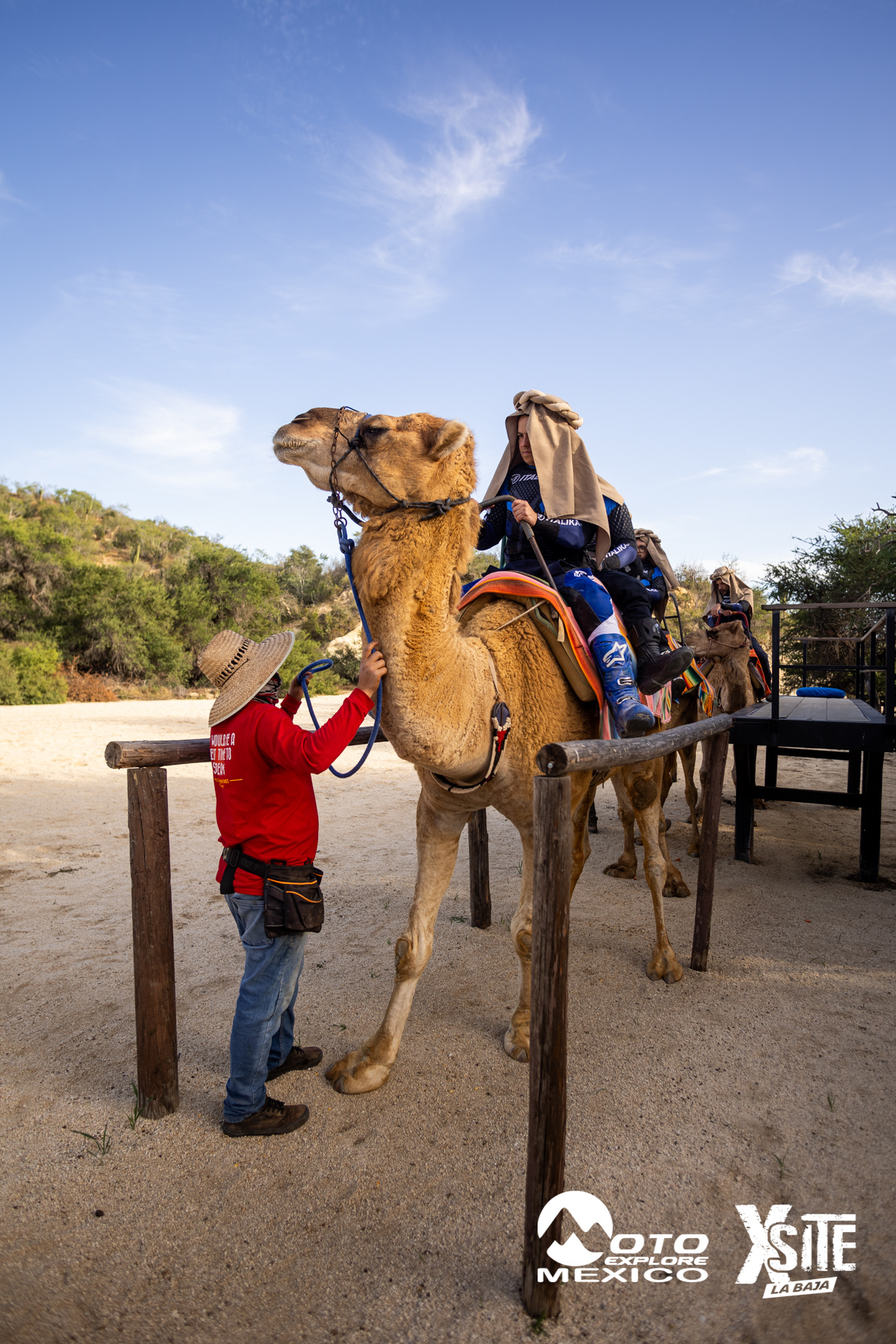 ITALIKA LA NAJA D1 533