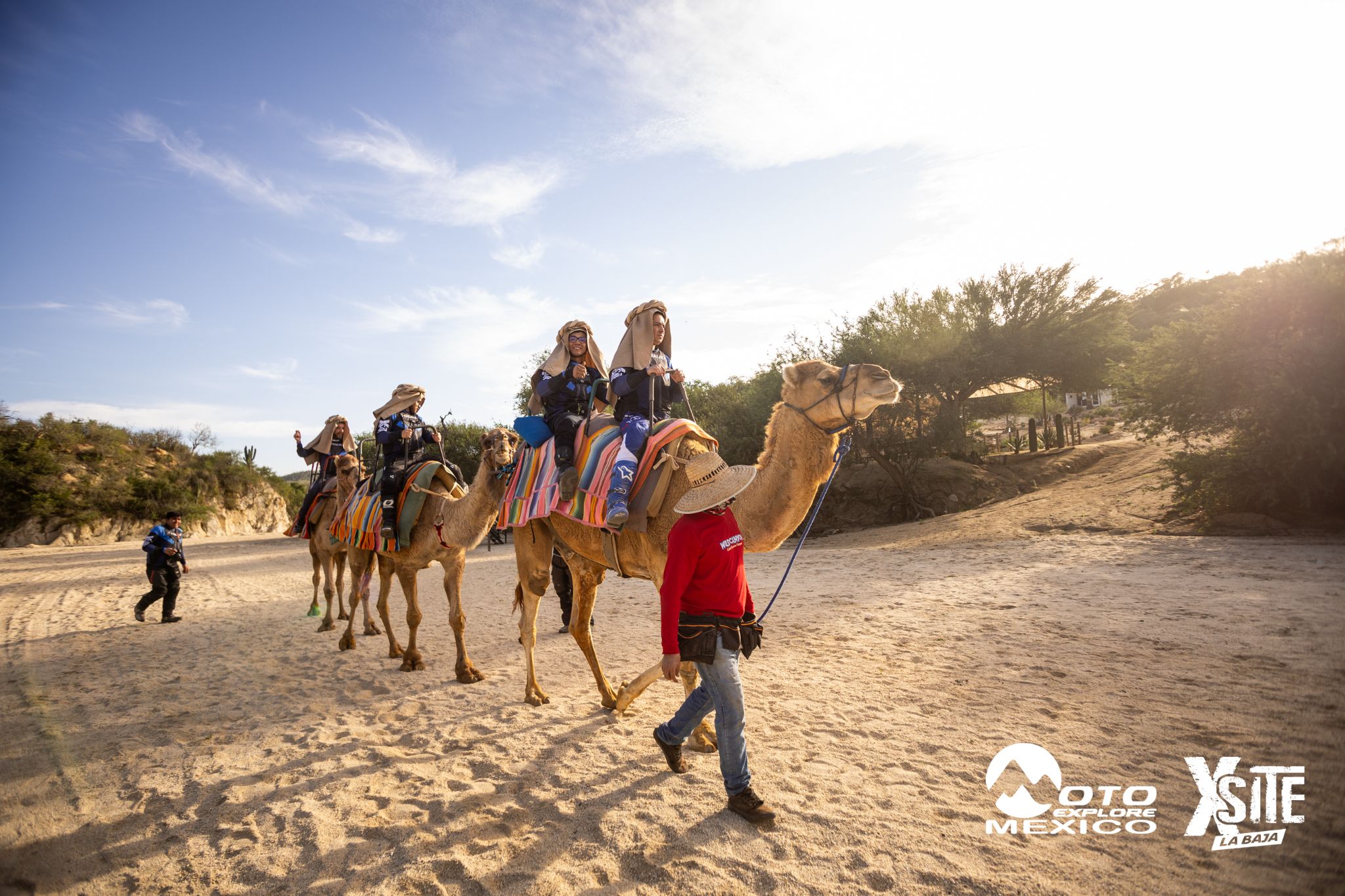 ITALIKA LA NAJA D1 534