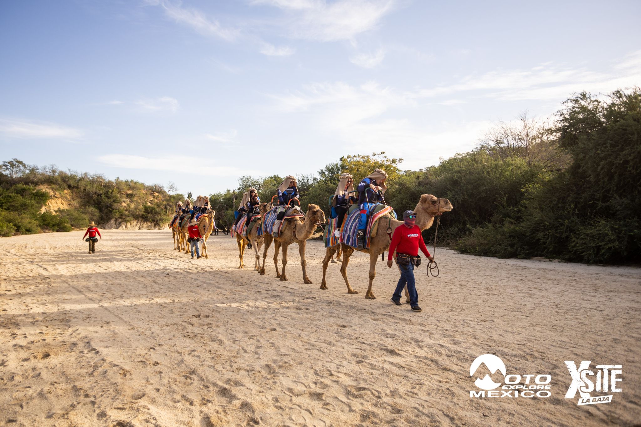 ITALIKA LA NAJA D1 536