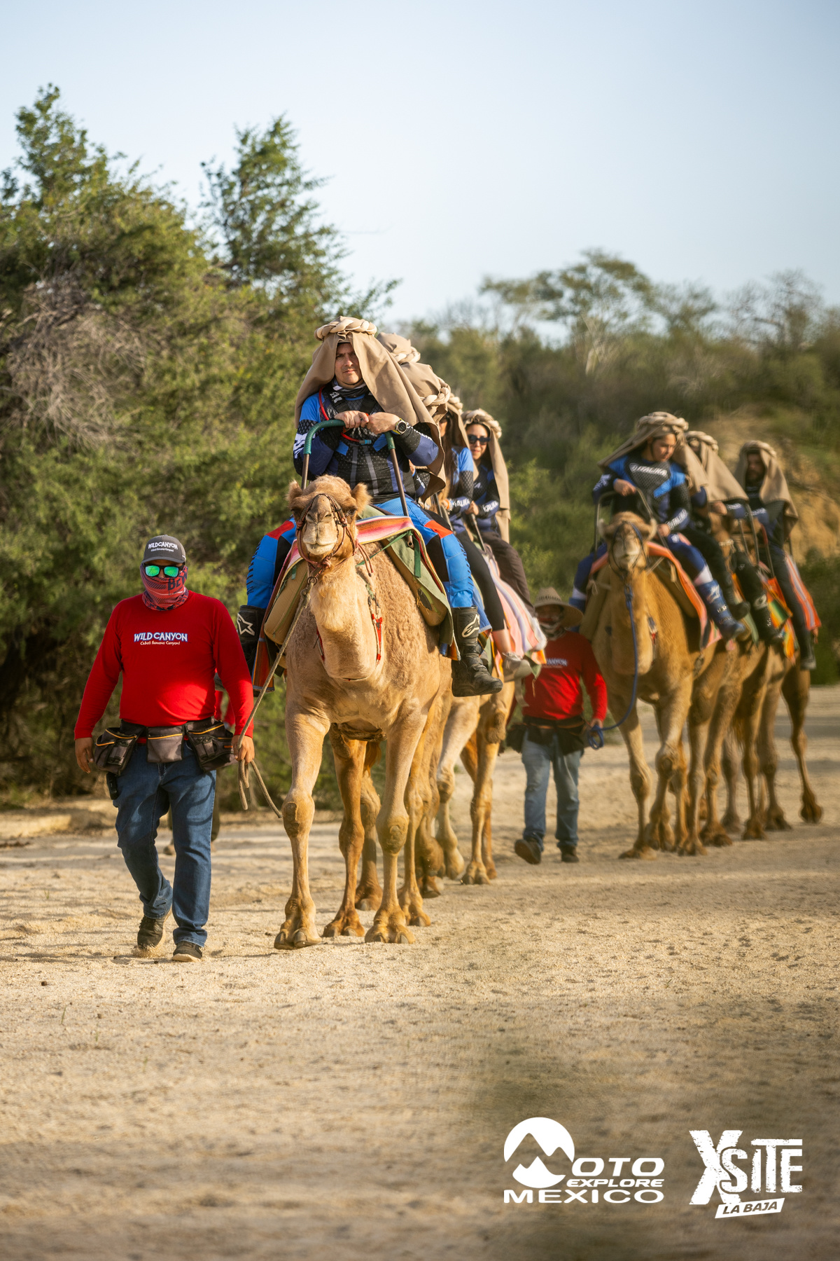 ITALIKA LA NAJA D1 541