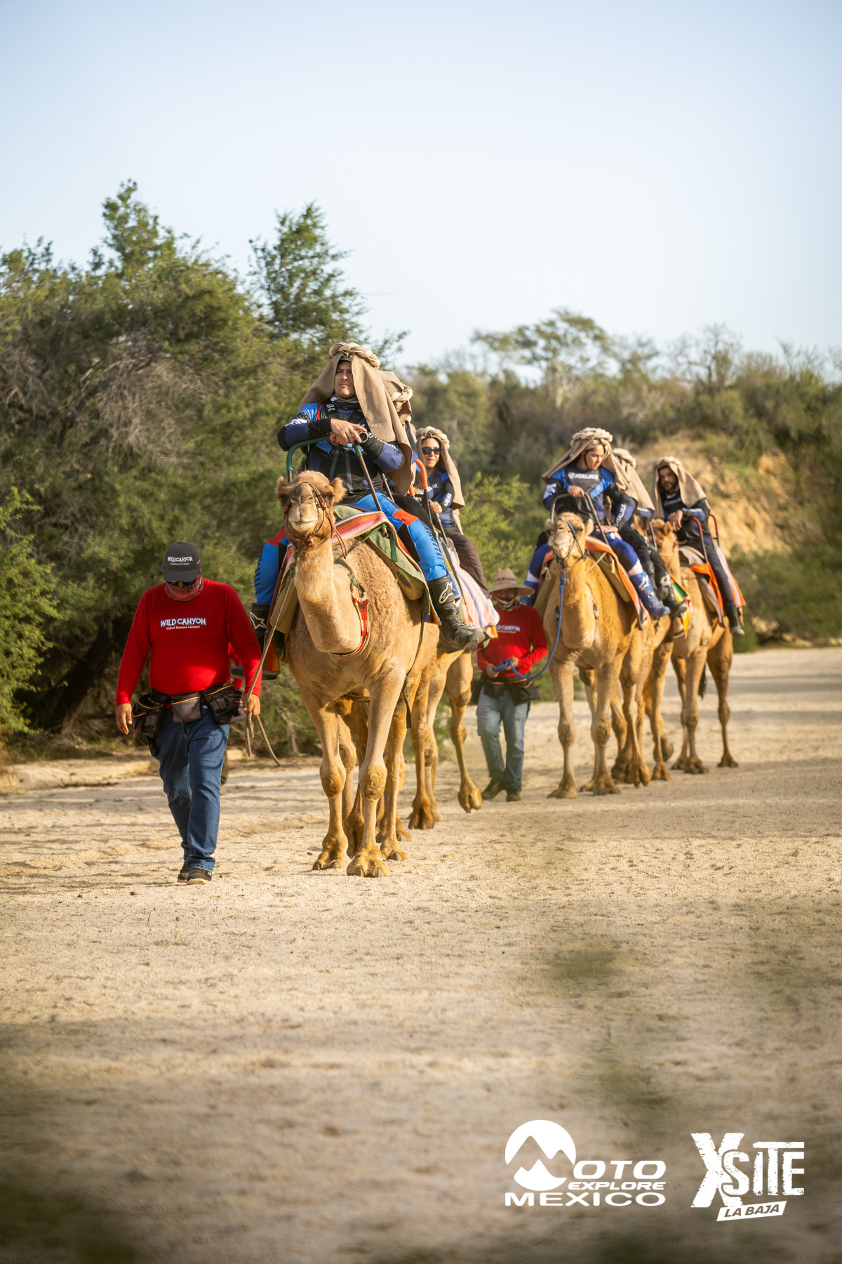 ITALIKA LA NAJA D1 542