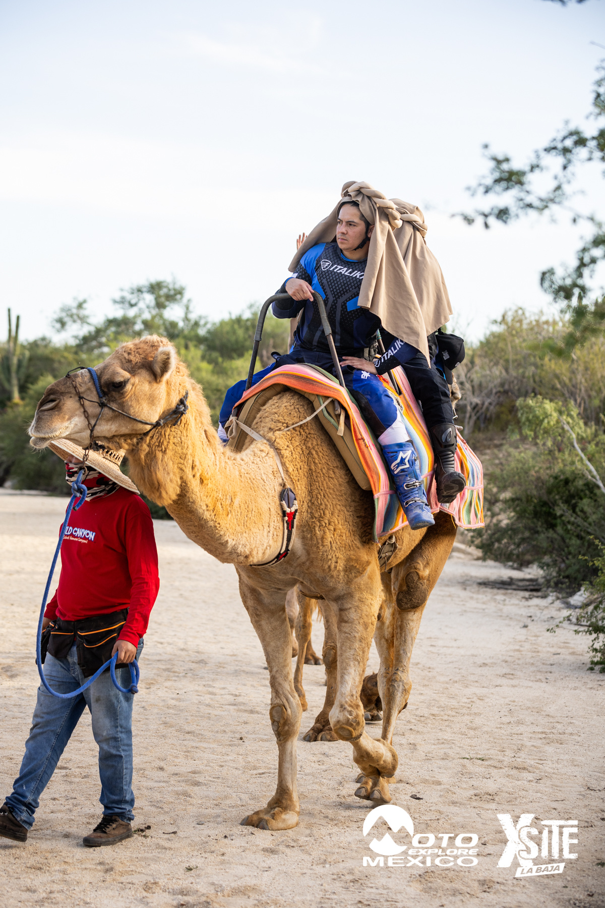 ITALIKA LA NAJA D1 547