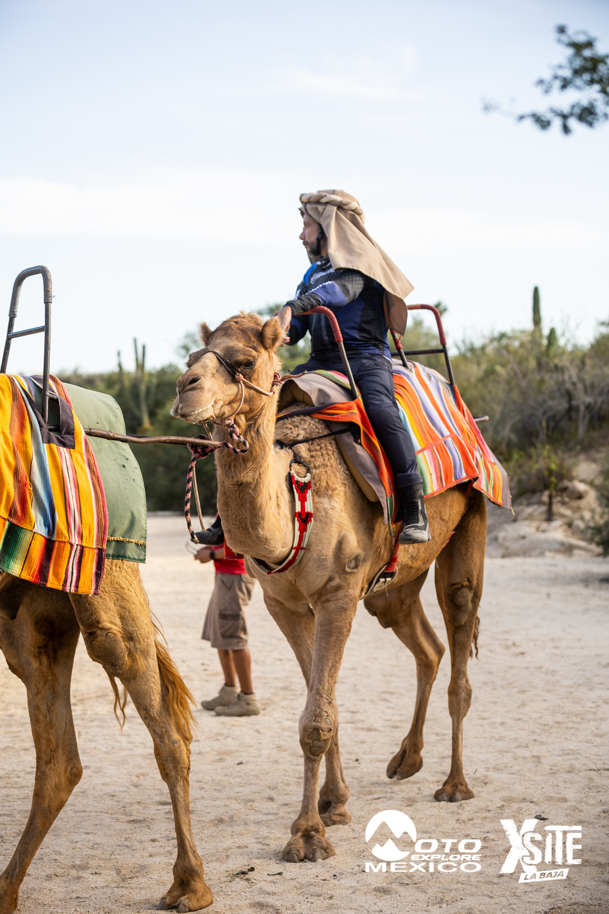 ITALIKA LA NAJA D1 551