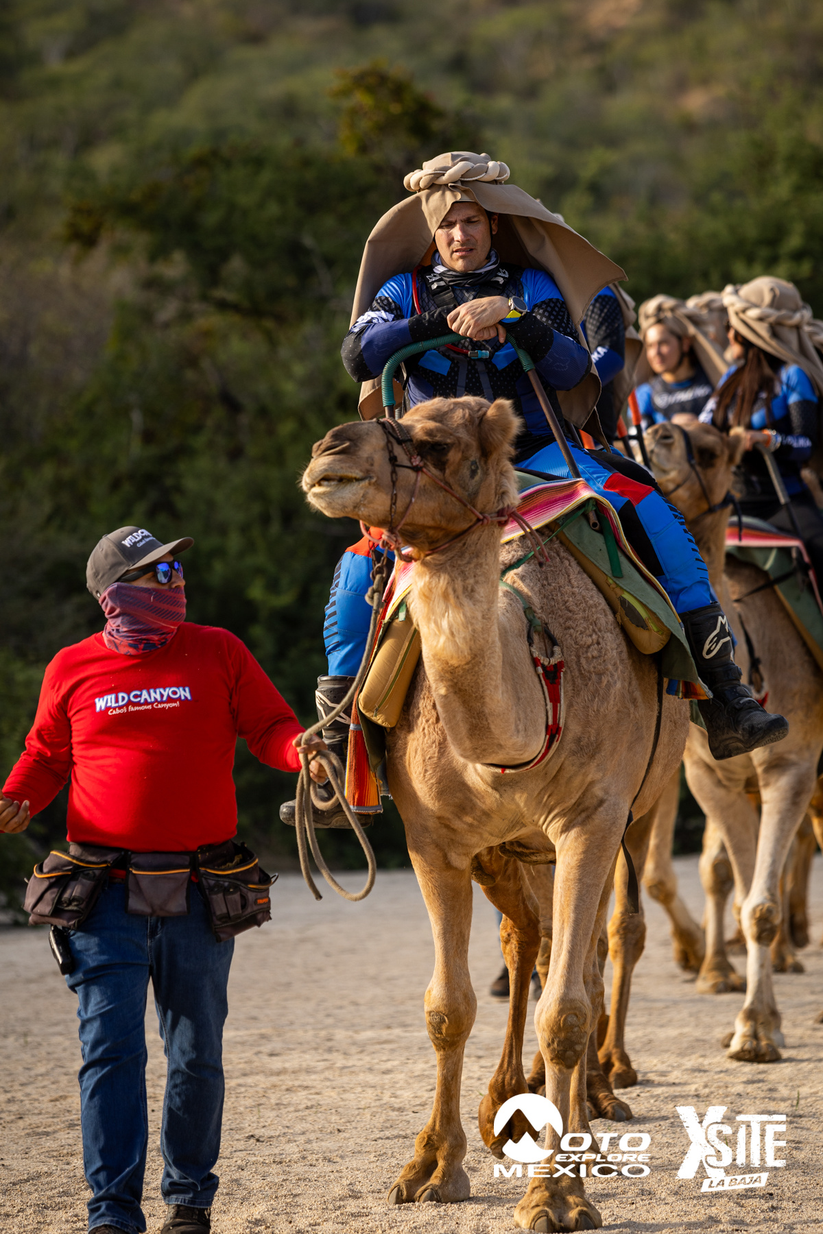 ITALIKA LA NAJA D1 552