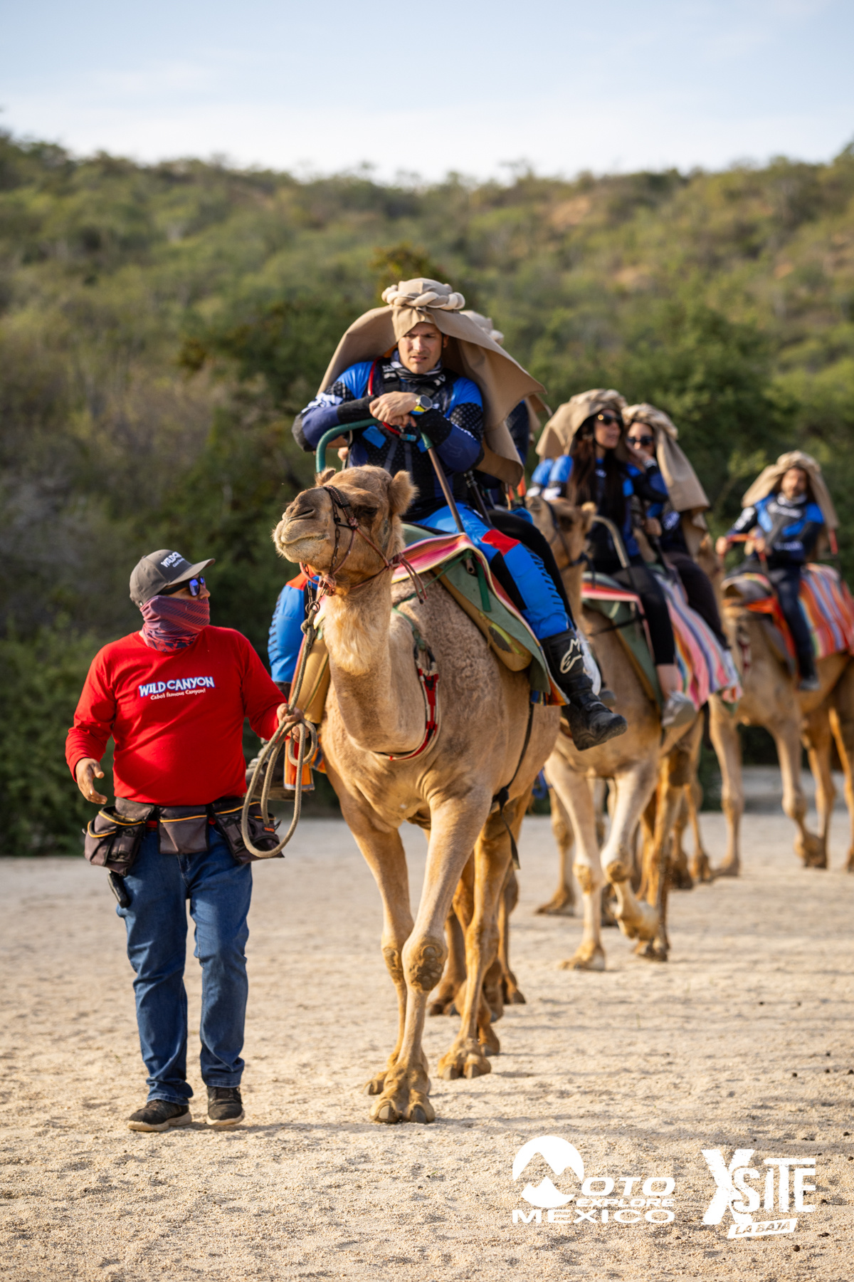 ITALIKA LA NAJA D1 554