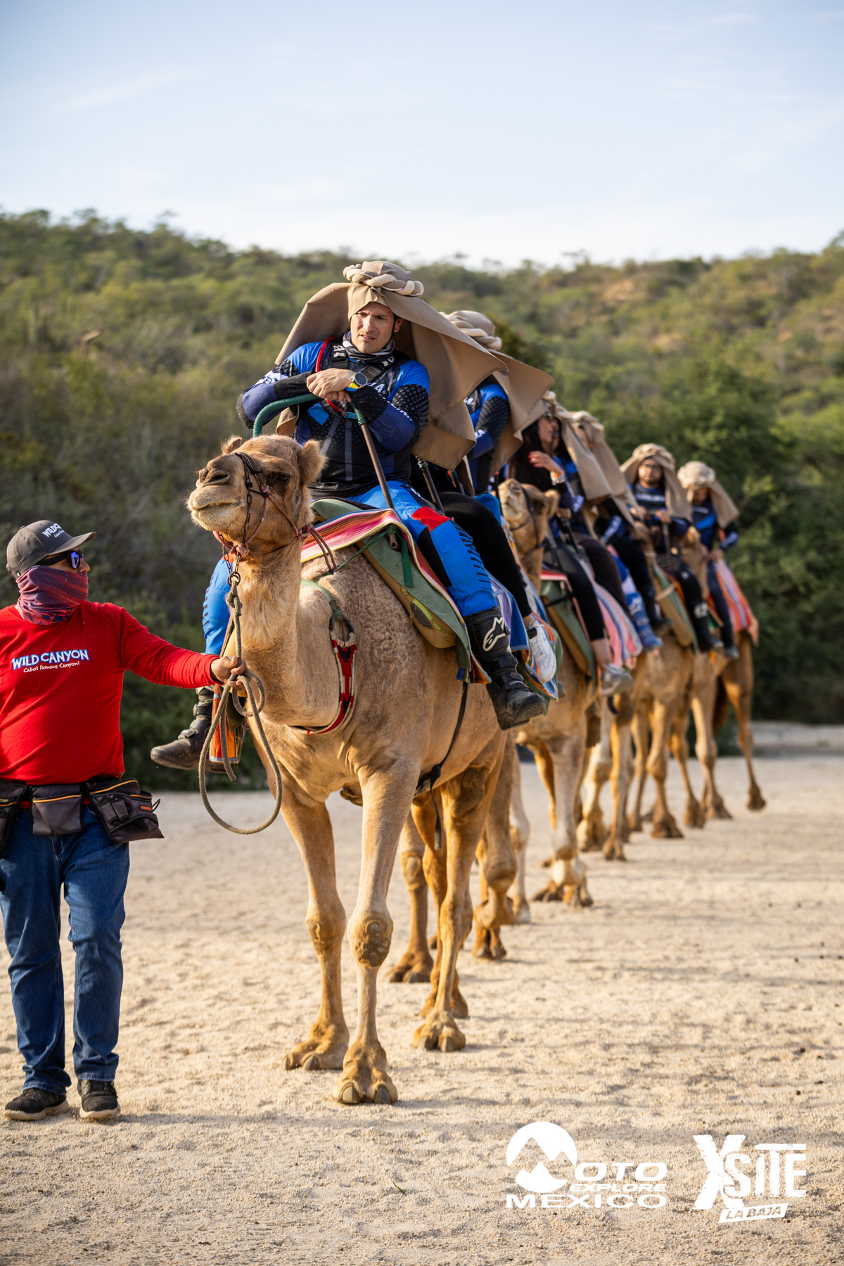 ITALIKA LA NAJA D1 556