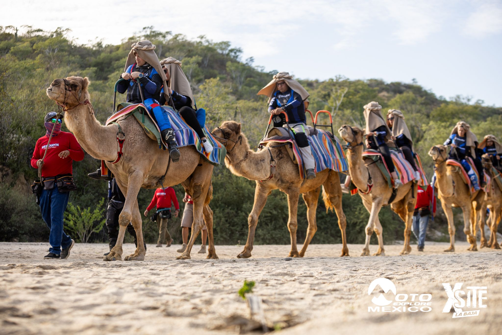 ITALIKA LA NAJA D1 558