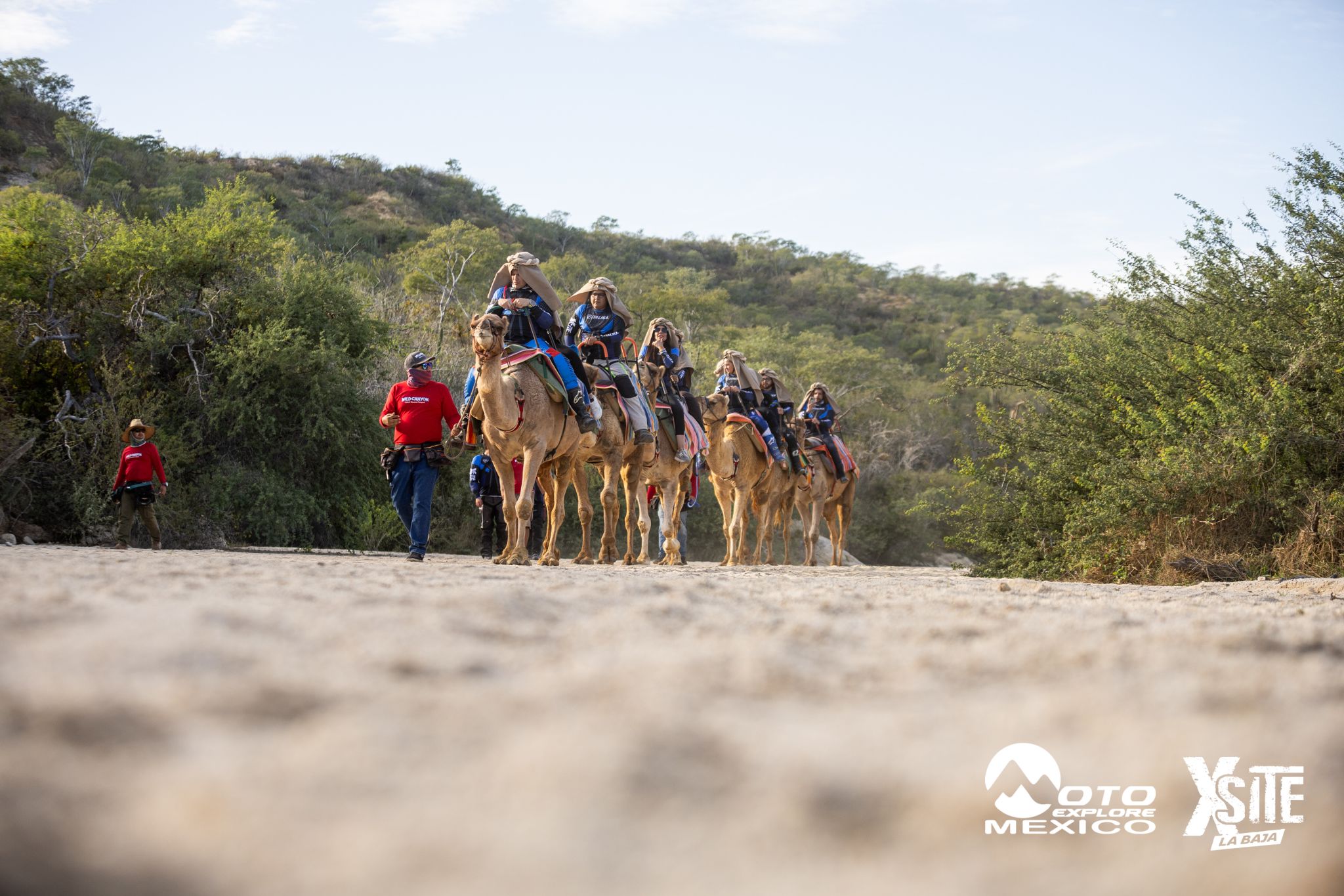 ITALIKA LA NAJA D1 560