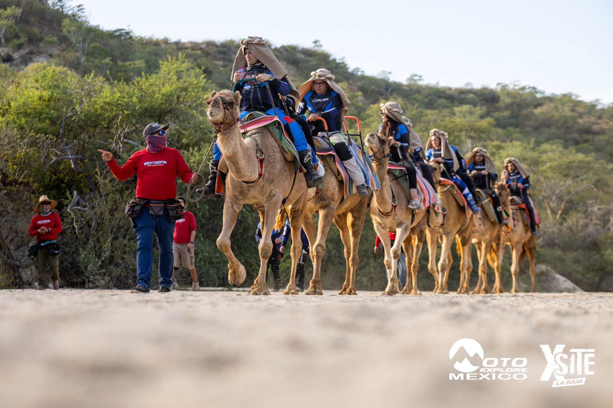 ITALIKA LA NAJA D1 563