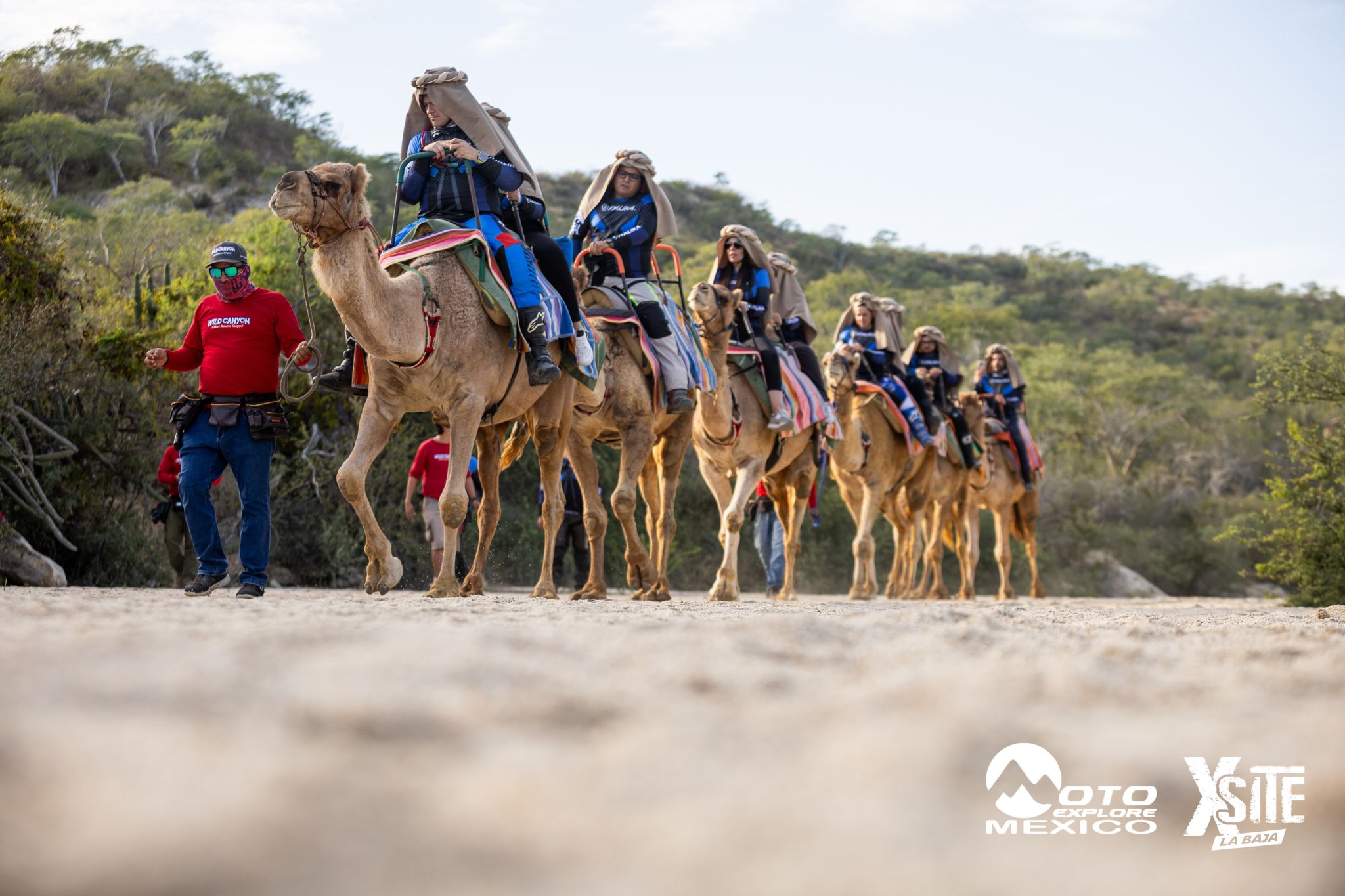 ITALIKA LA NAJA D1 564