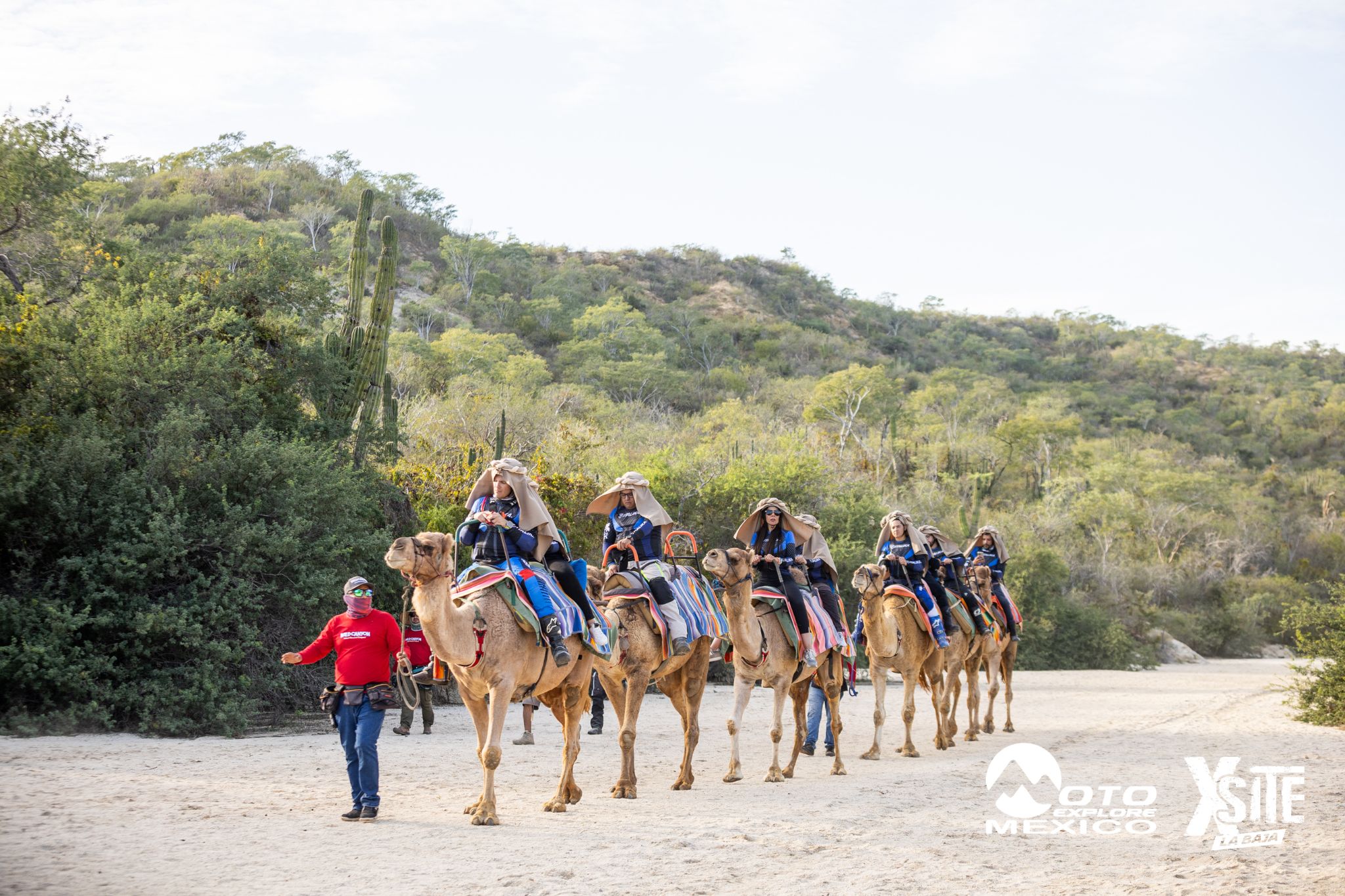 ITALIKA LA NAJA D1 566