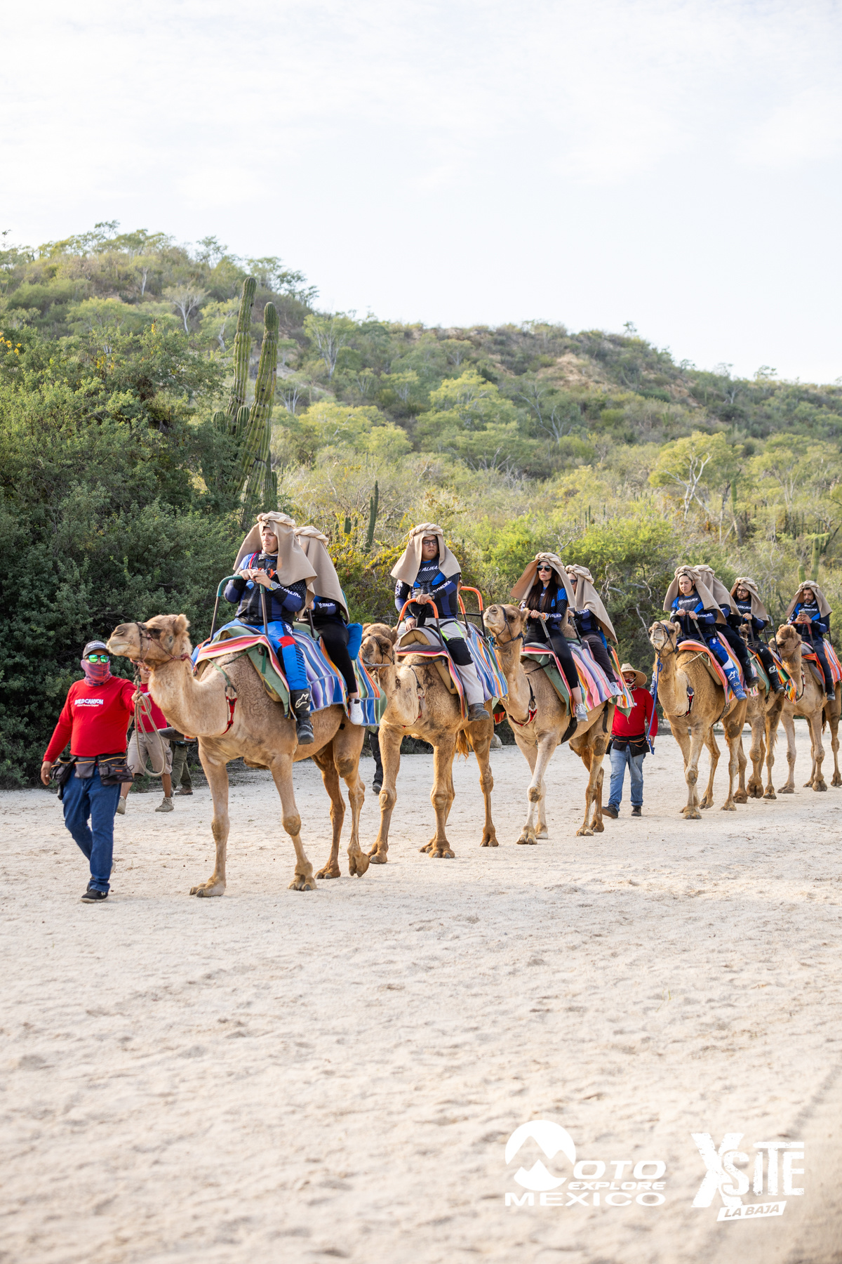 ITALIKA LA NAJA D1 567