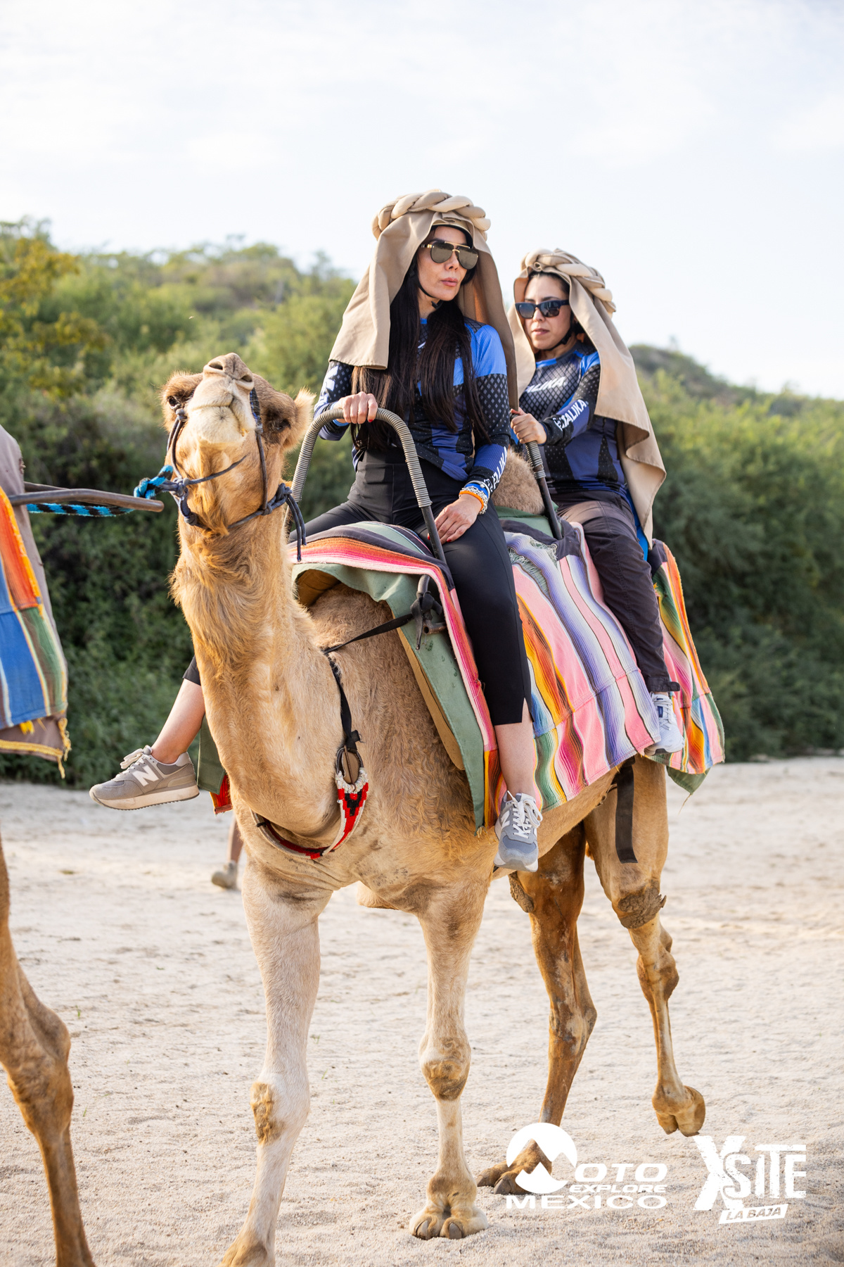 ITALIKA LA NAJA D1 569