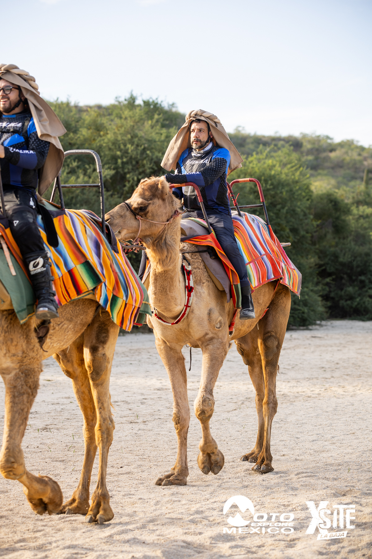 ITALIKA LA NAJA D1 574