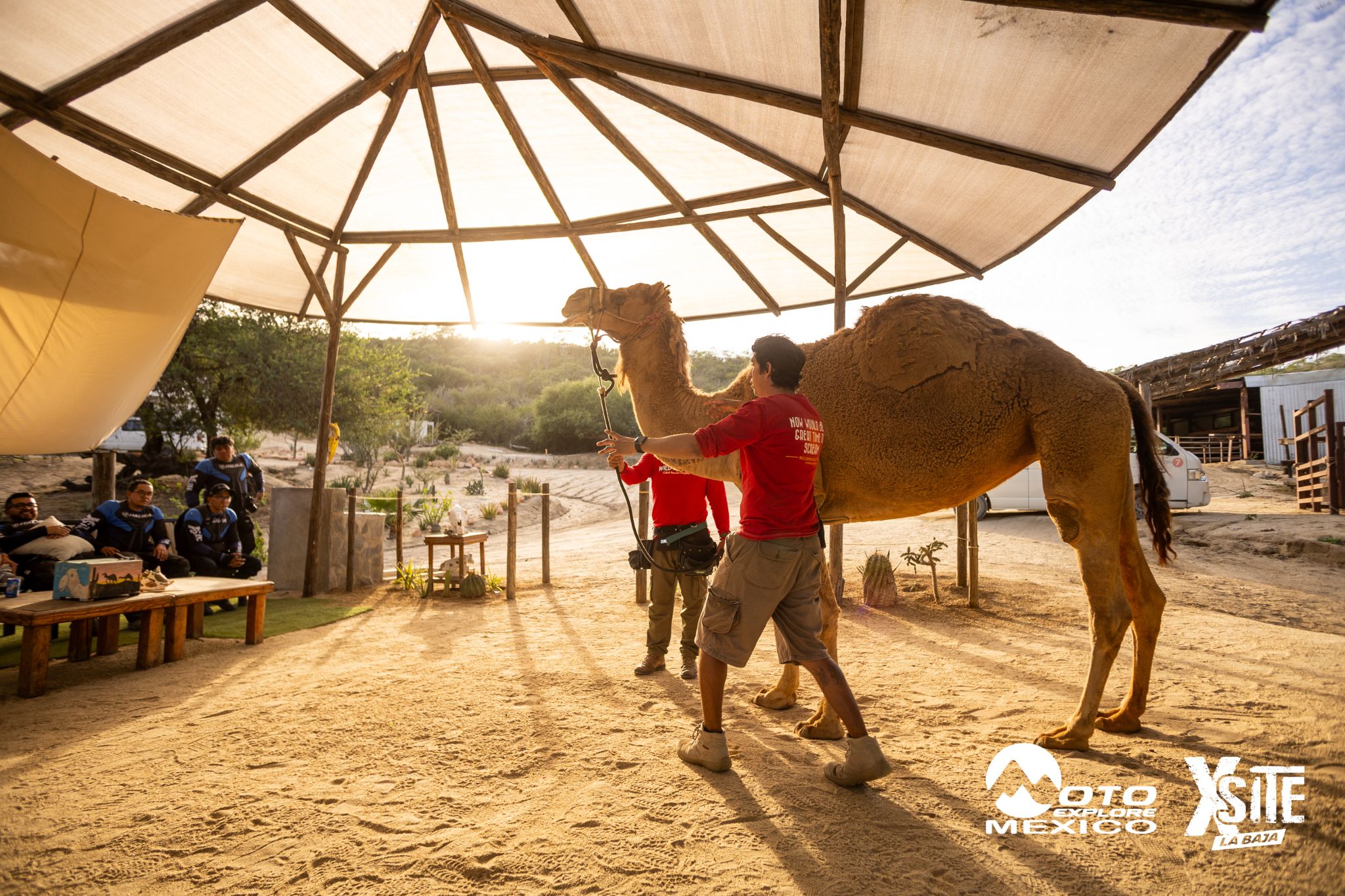 ITALIKA LA NAJA D1 575