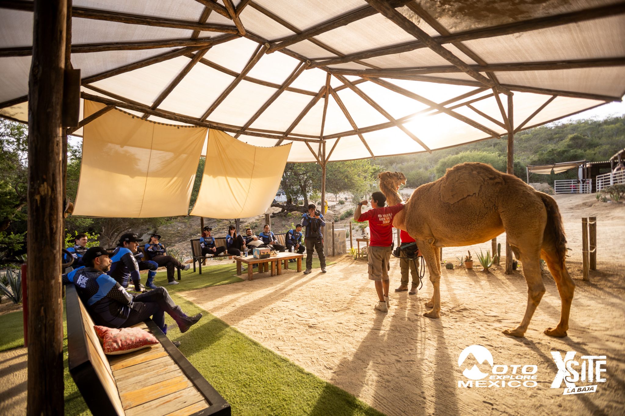 ITALIKA LA NAJA D1 576