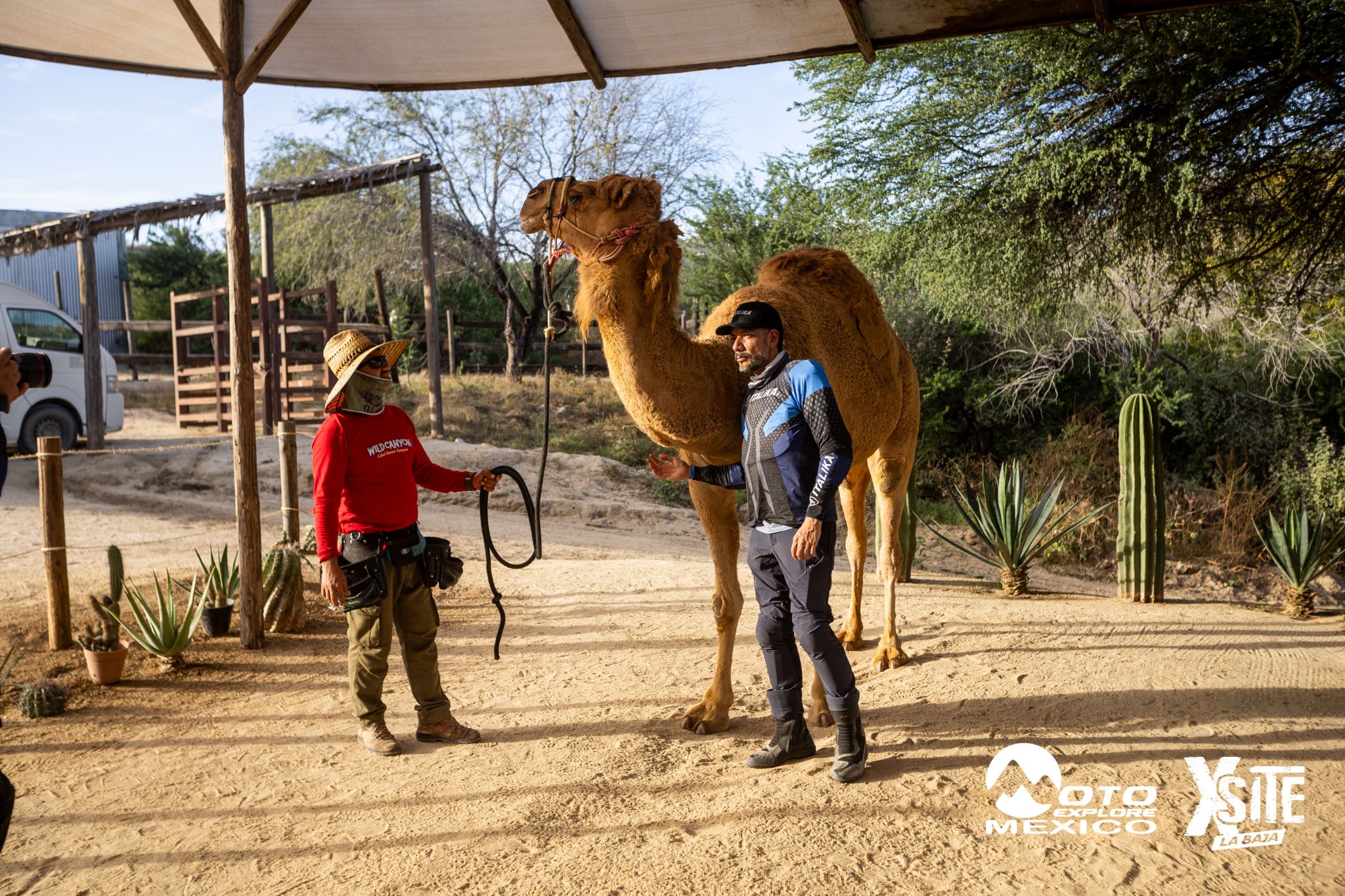 ITALIKA LA NAJA D1 578