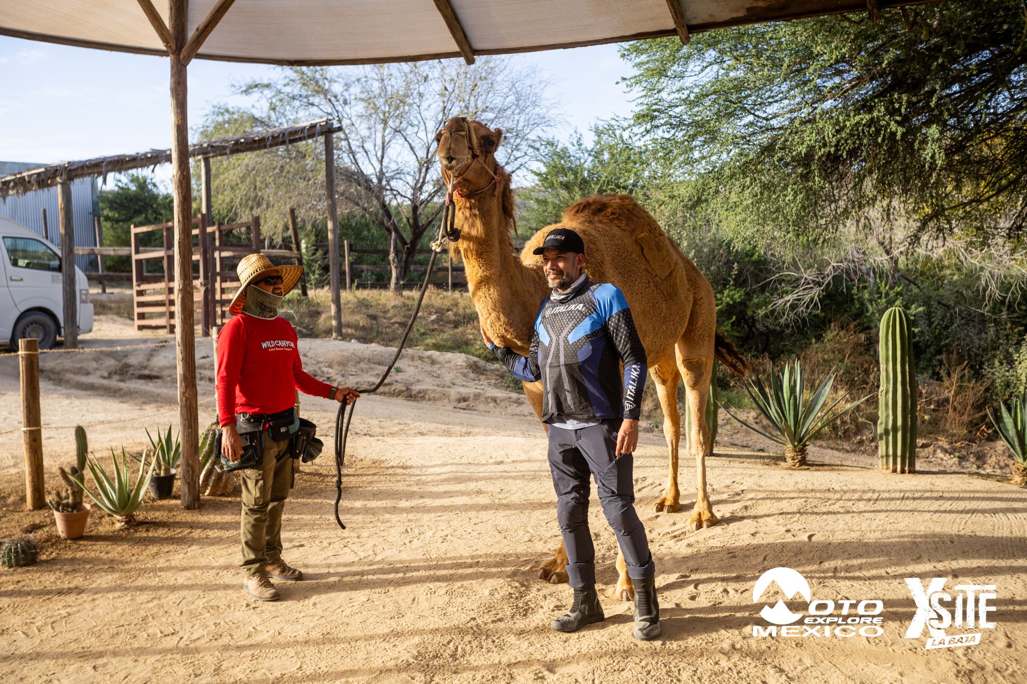 ITALIKA LA NAJA D1 580