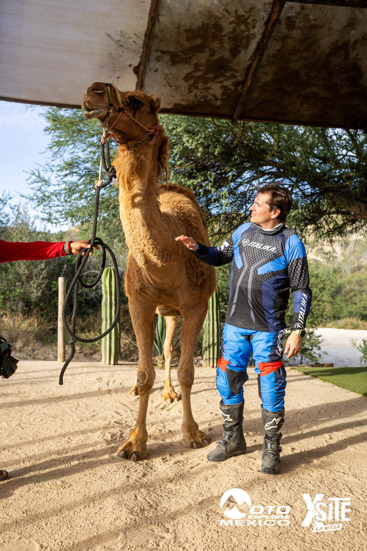 ITALIKA LA NAJA D1 585