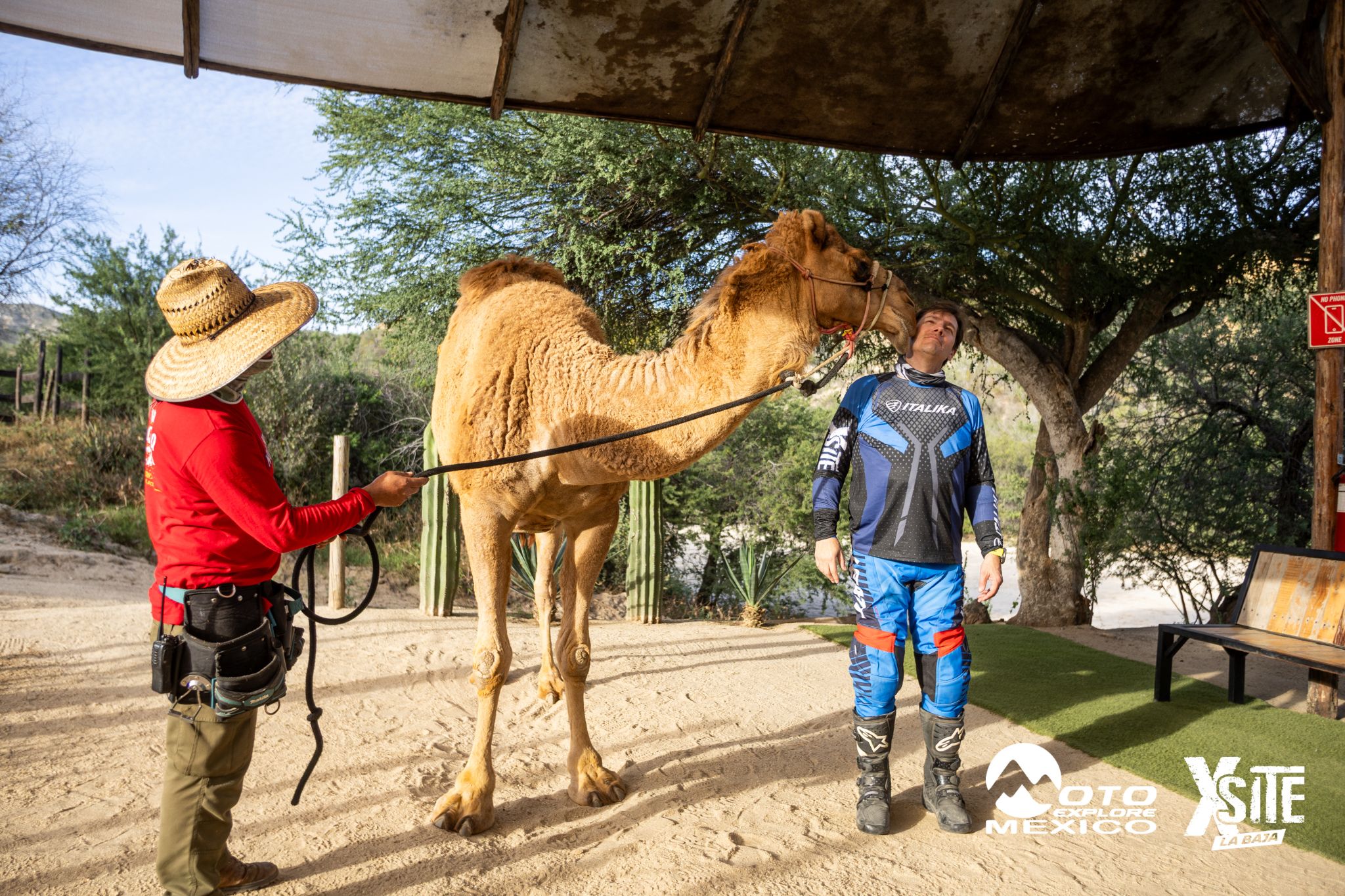 ITALIKA LA NAJA D1 586