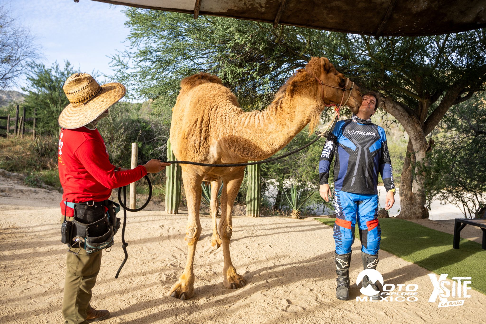 ITALIKA LA NAJA D1 587