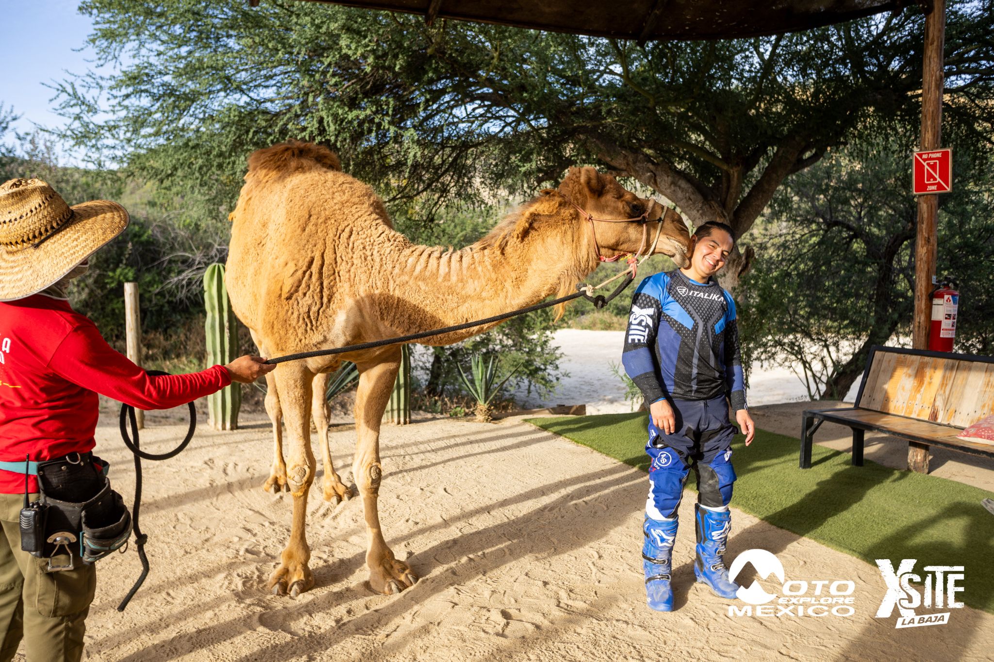 ITALIKA LA NAJA D1 591