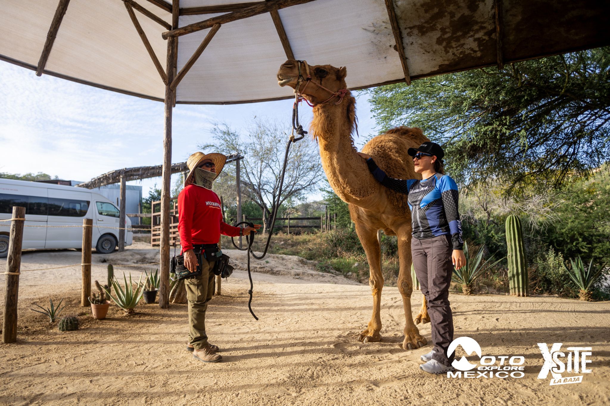 ITALIKA LA NAJA D1 594