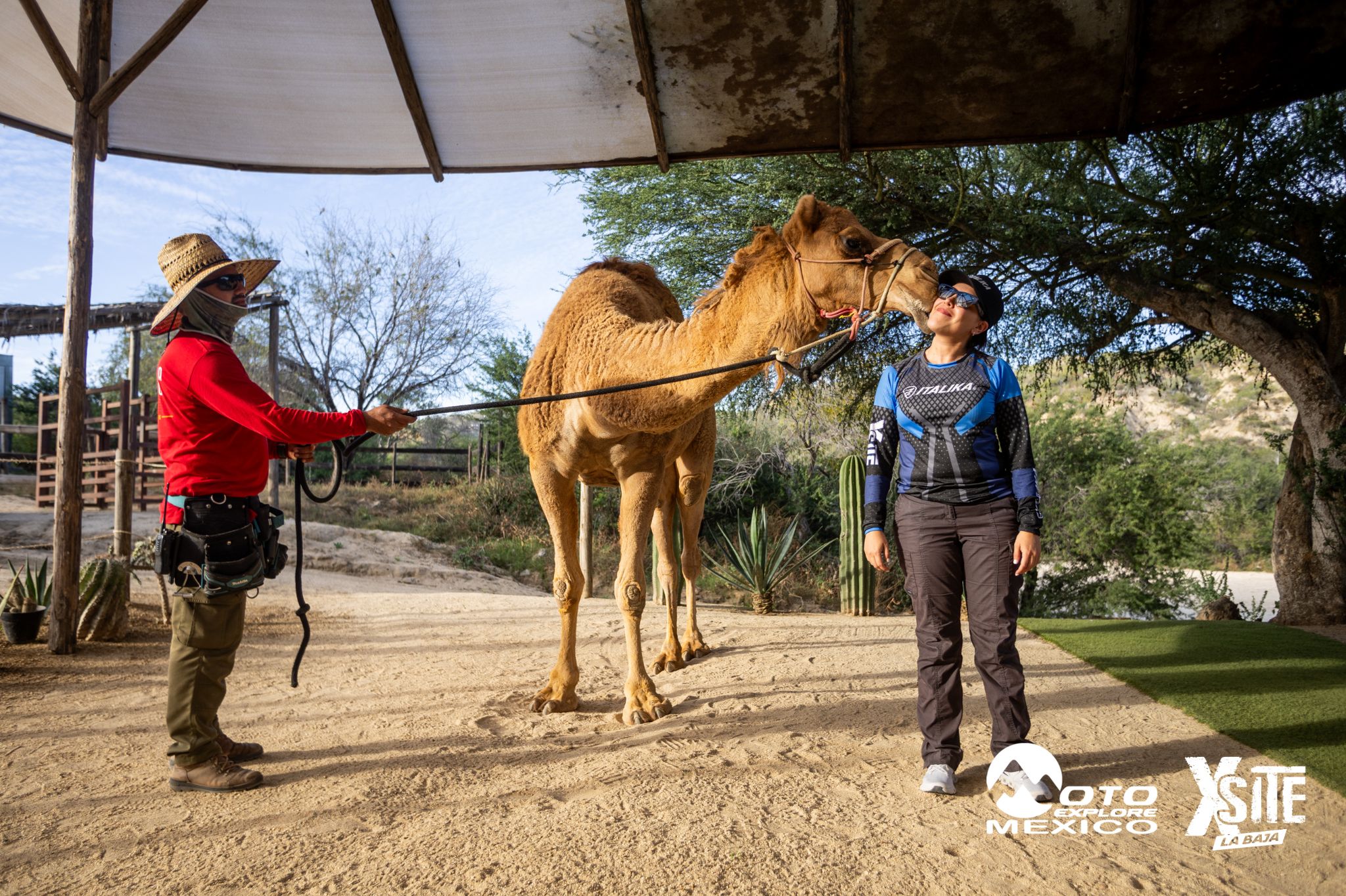 ITALIKA LA NAJA D1 596