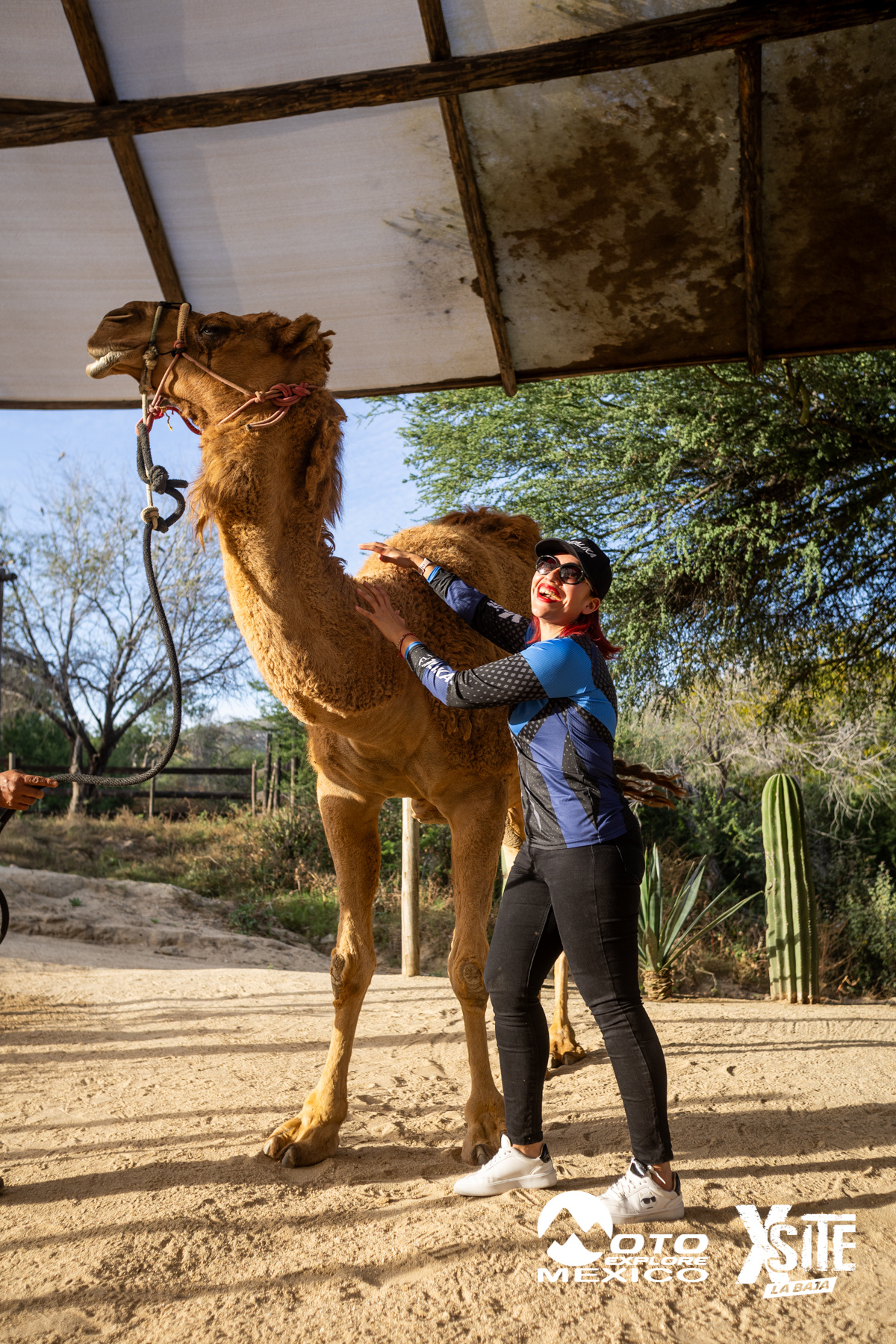 ITALIKA LA NAJA D1 598