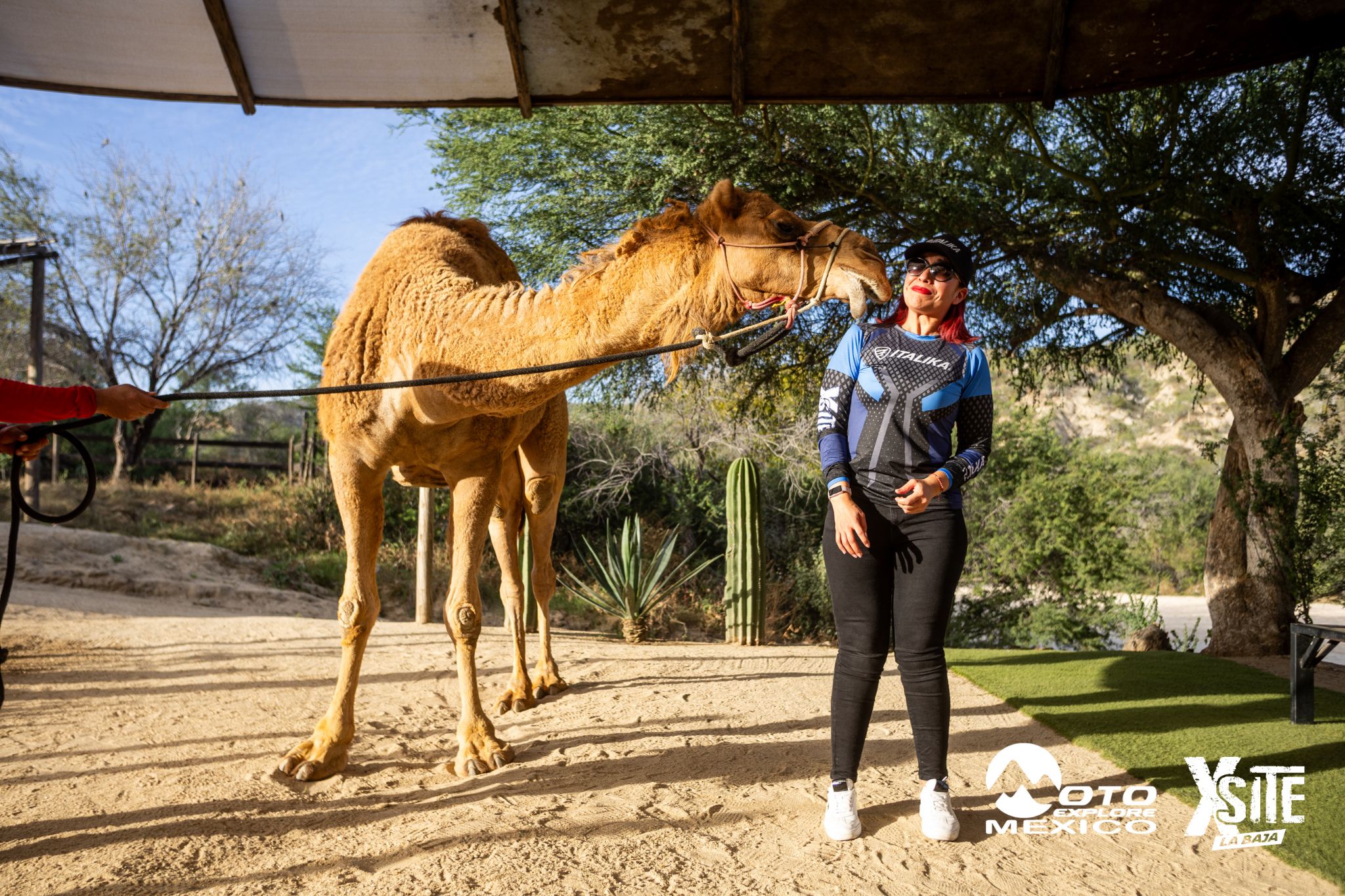 ITALIKA LA NAJA D1 600