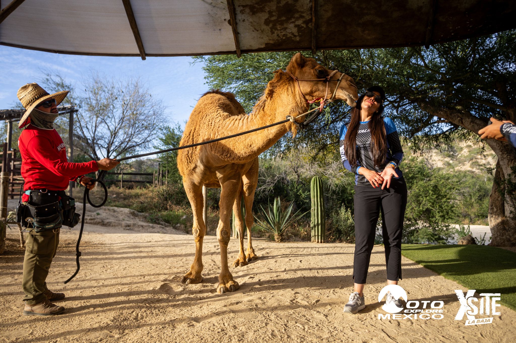 ITALIKA LA NAJA D1 602