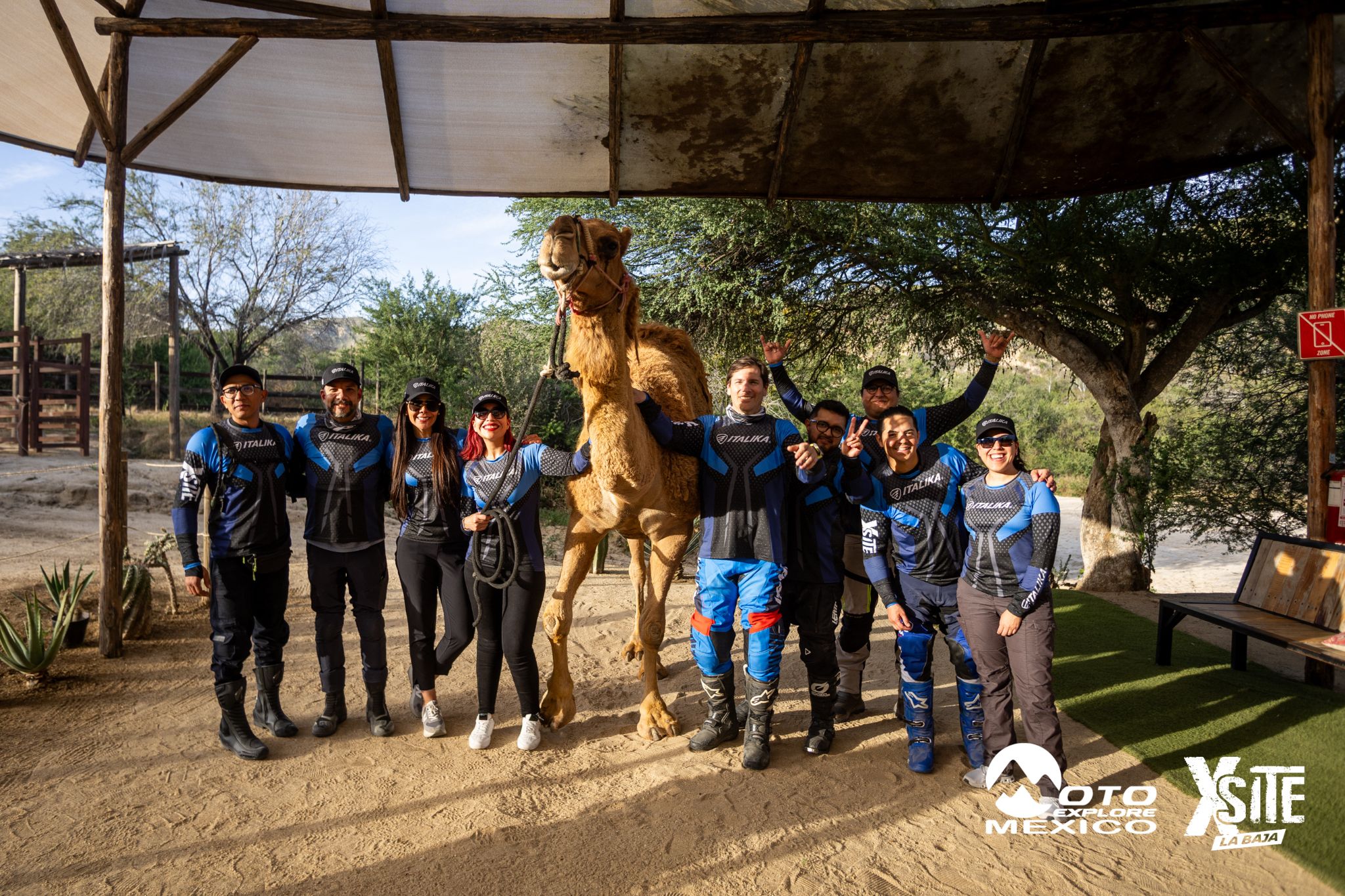 ITALIKA LA NAJA D1 608