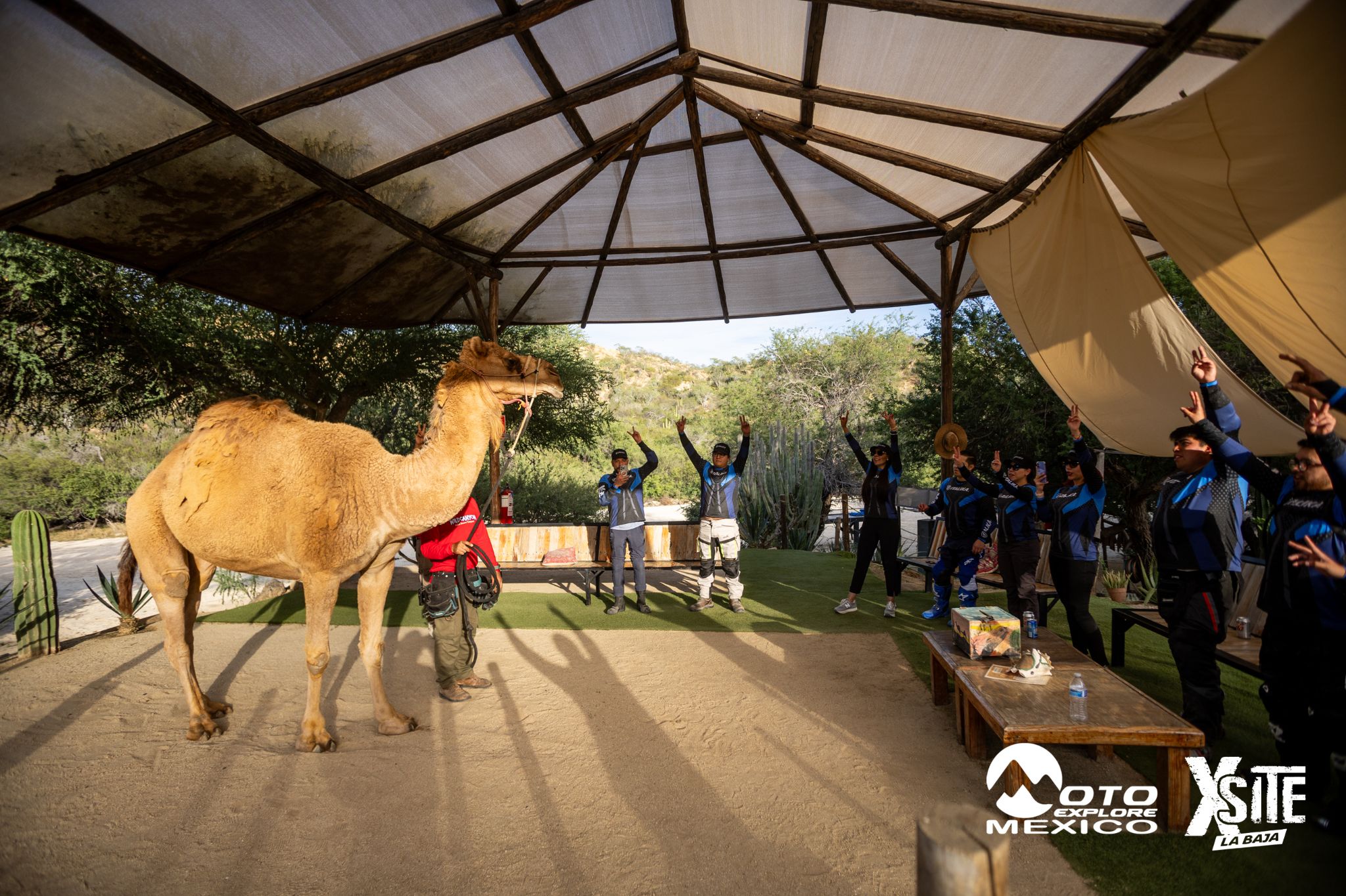 ITALIKA LA NAJA D1 609