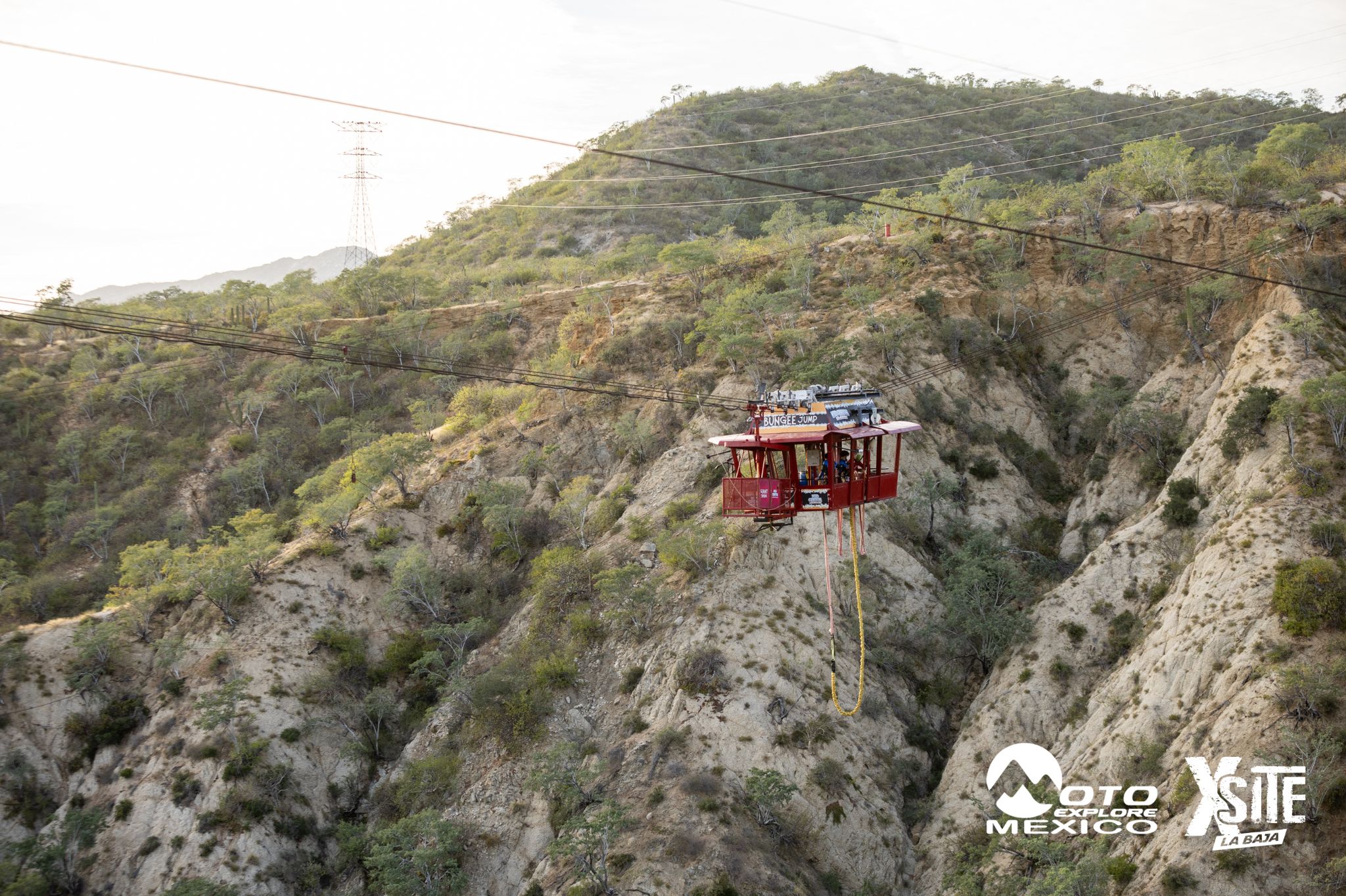 ITALIKA LA NAJA D1 631