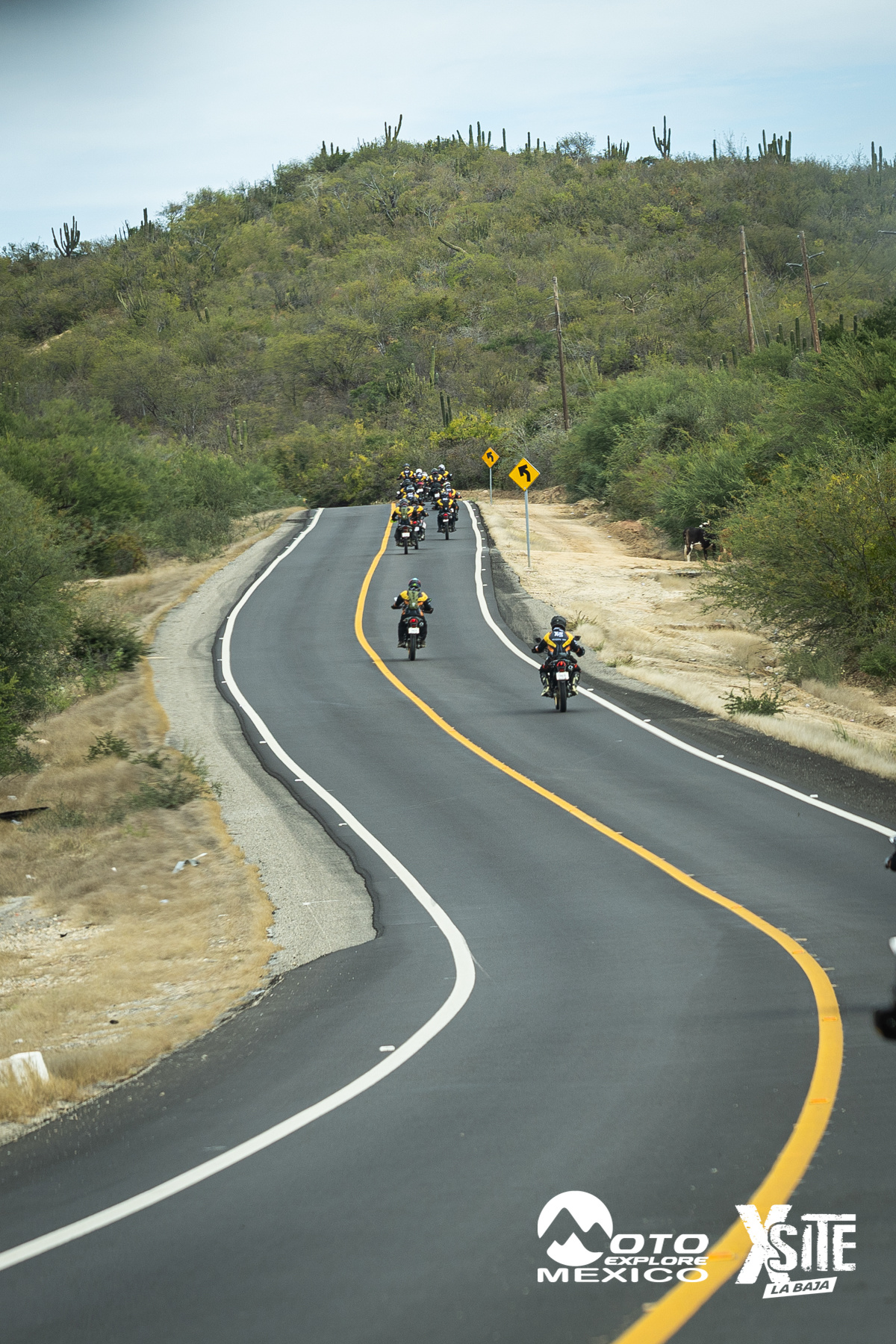 ITALIKA LA NAJA D2 124